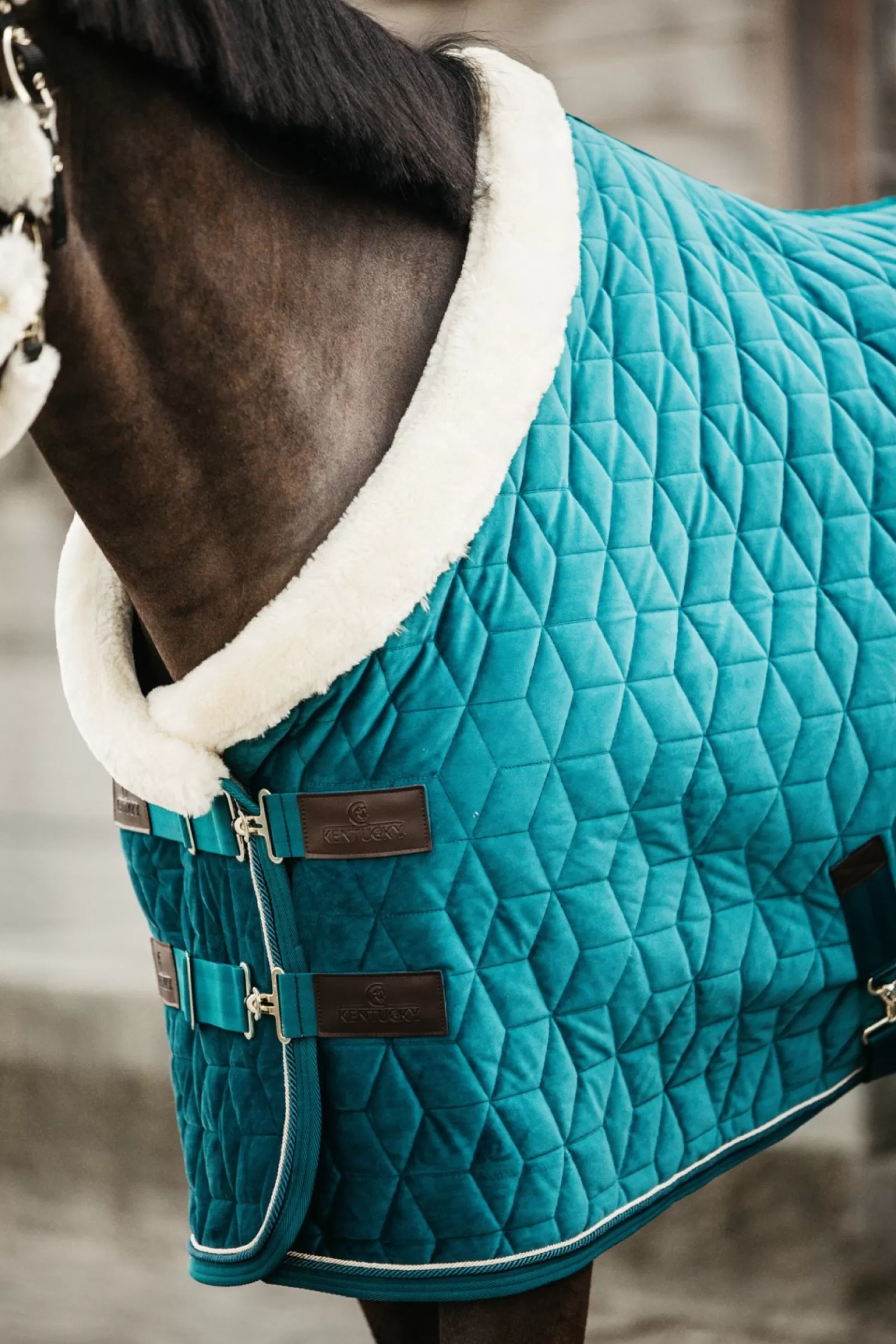 kentucky Aksamitna Derka Na Zawody Horsewear Velvet, 160 G