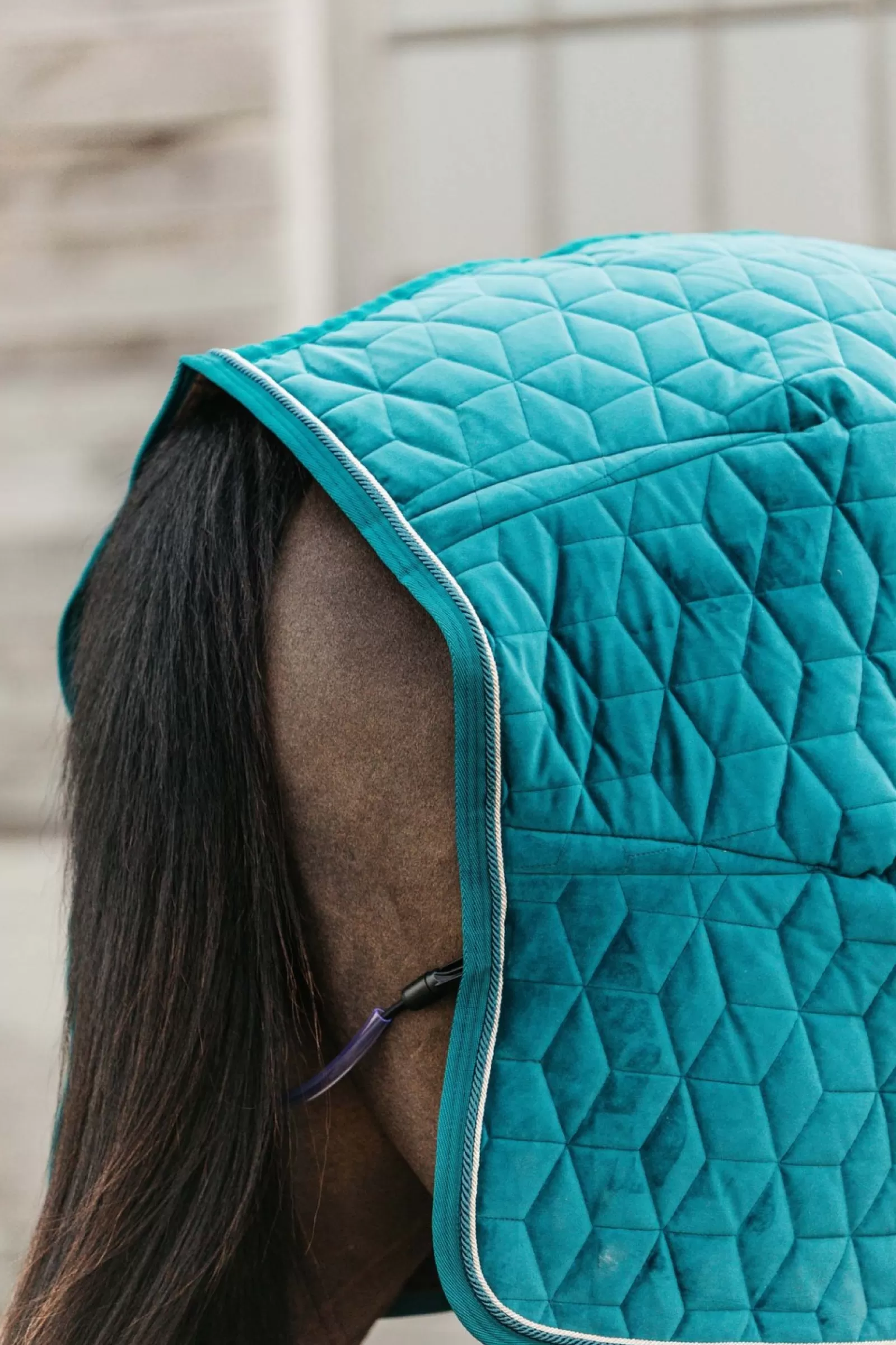 kentucky Aksamitna Derka Na Zawody Horsewear Velvet, 160 G