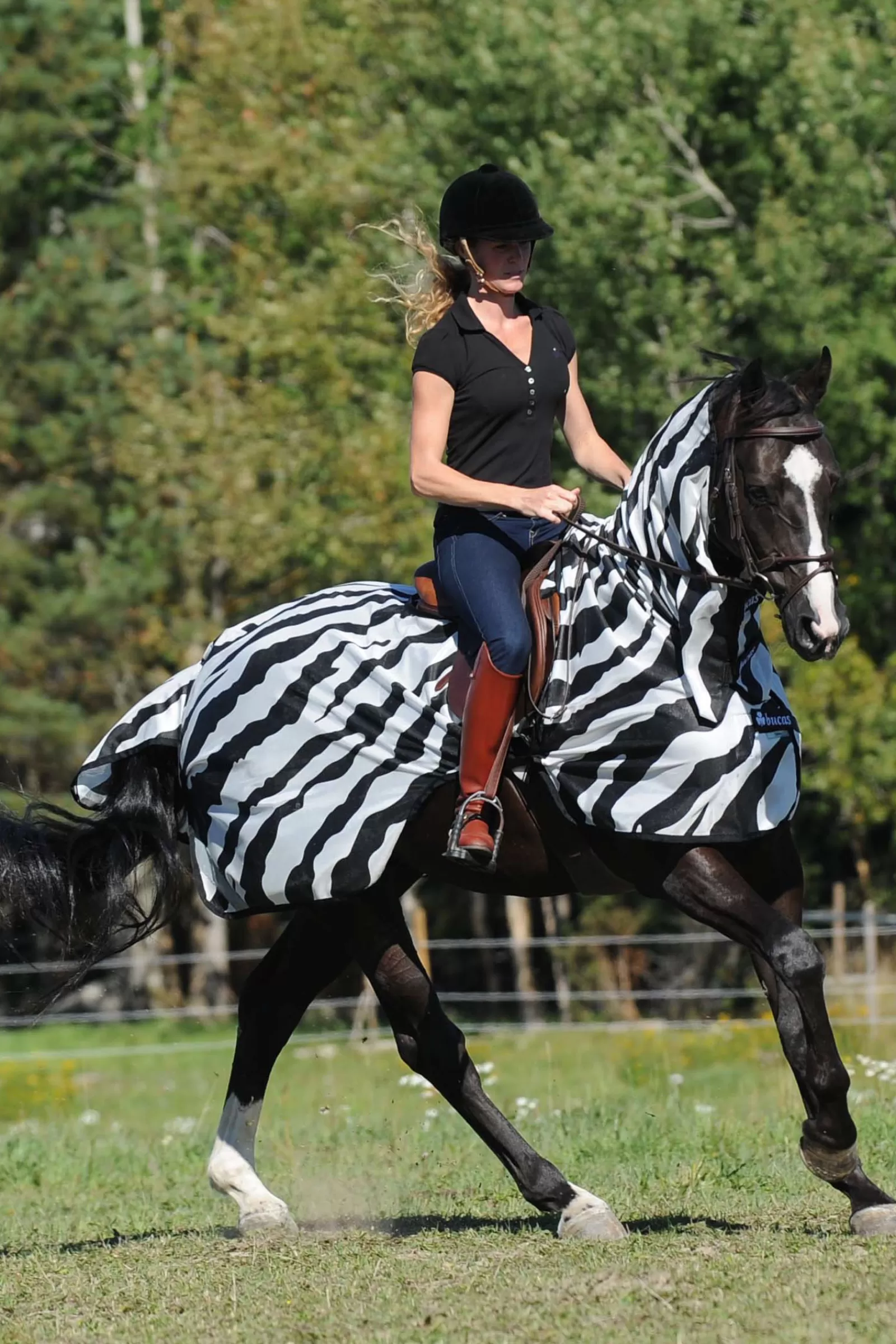 bucas Buzz-Off Riding Zebra Derka Do Latania I Jazdy Konnej Black/White Discount