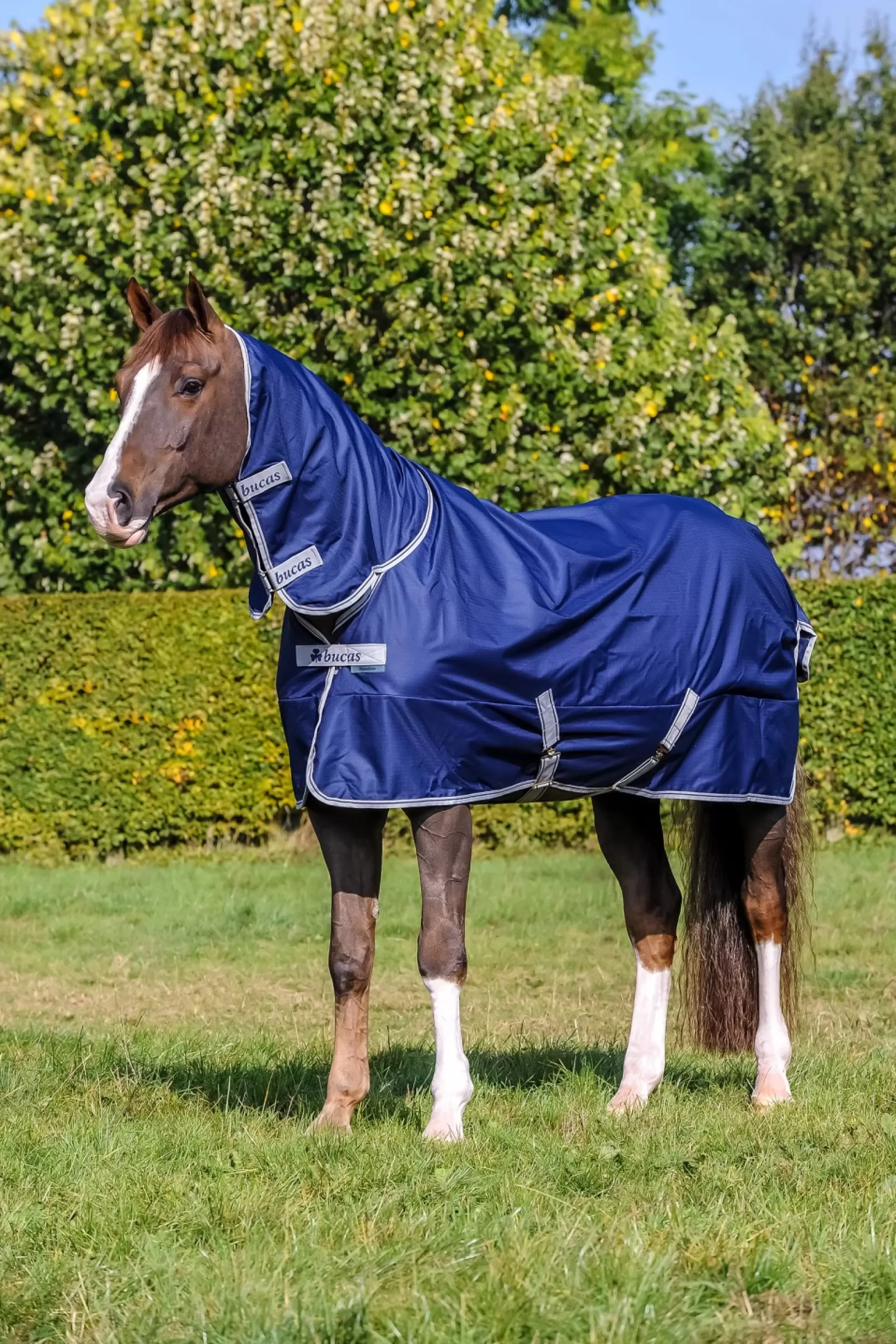 bucas Freedom Turnout Full Neck Blanket 300G(Blanket)/150G(Neck)