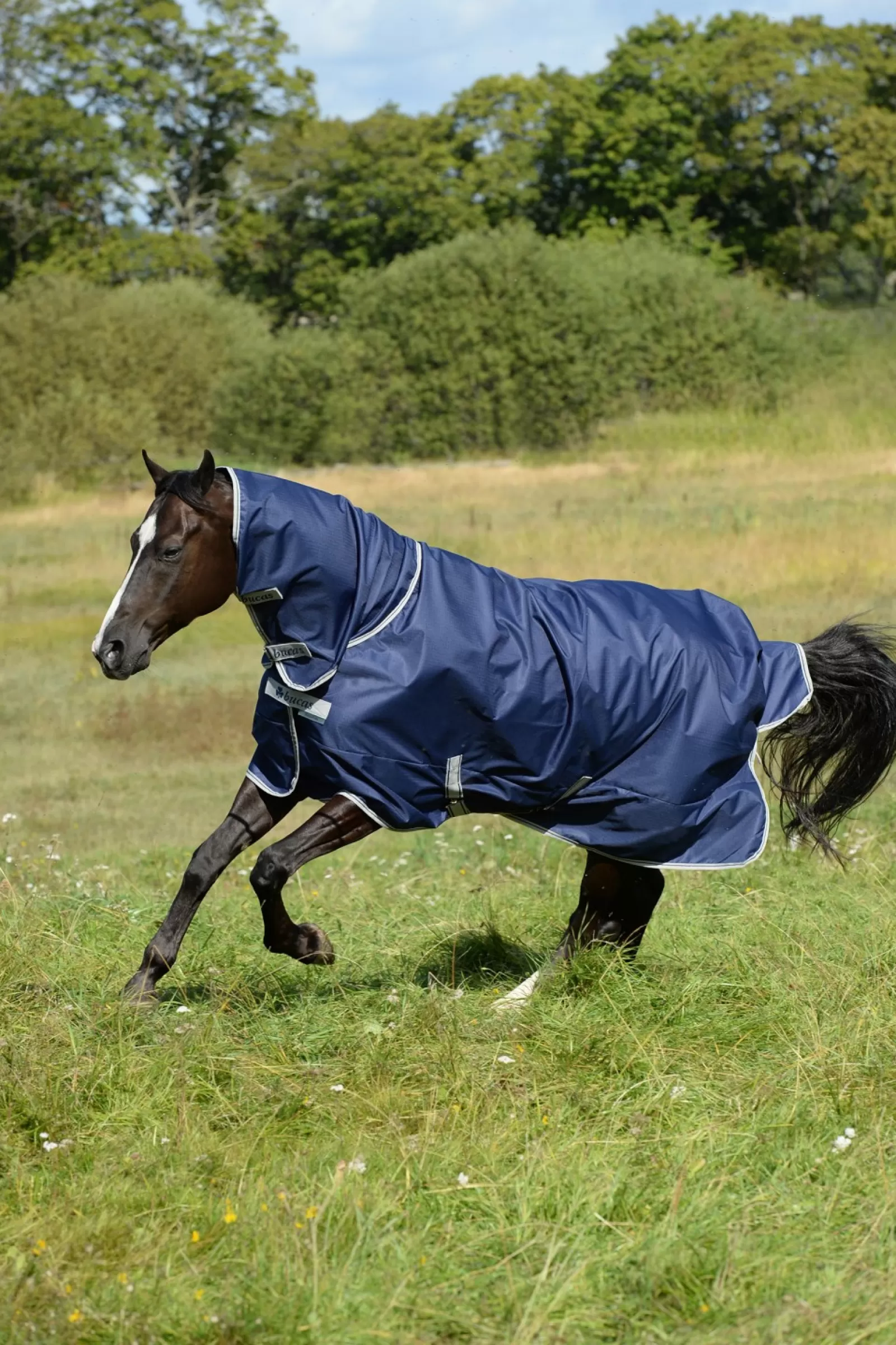 bucas Freedom Turnout Full Neck Blanket 300G(Blanket)/150G(Neck)