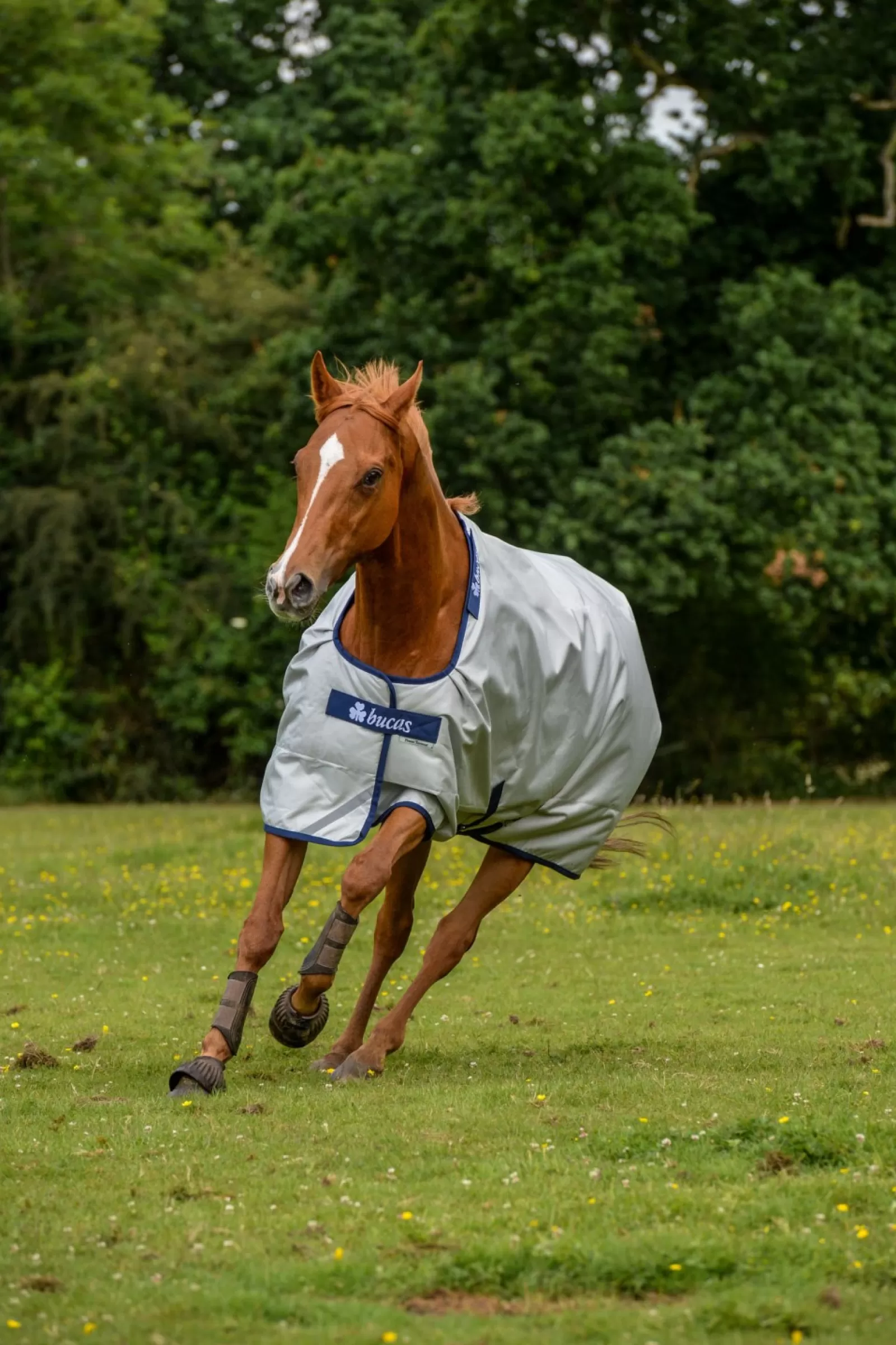 bucas Power Turnout Derka Z Funkcja Chlodzenia, 0G