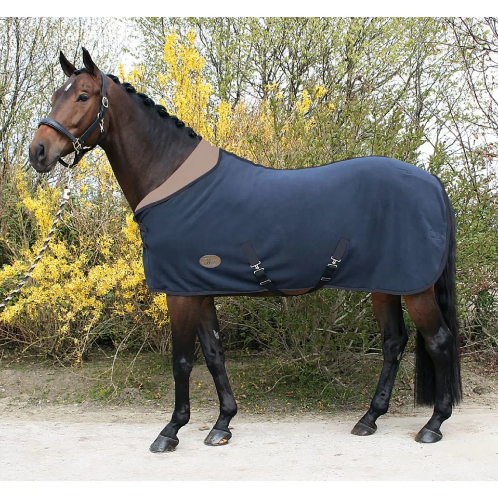 harryshorse Derka Harry'S Horse Teddyfleece Z Kolnierzem 1/2