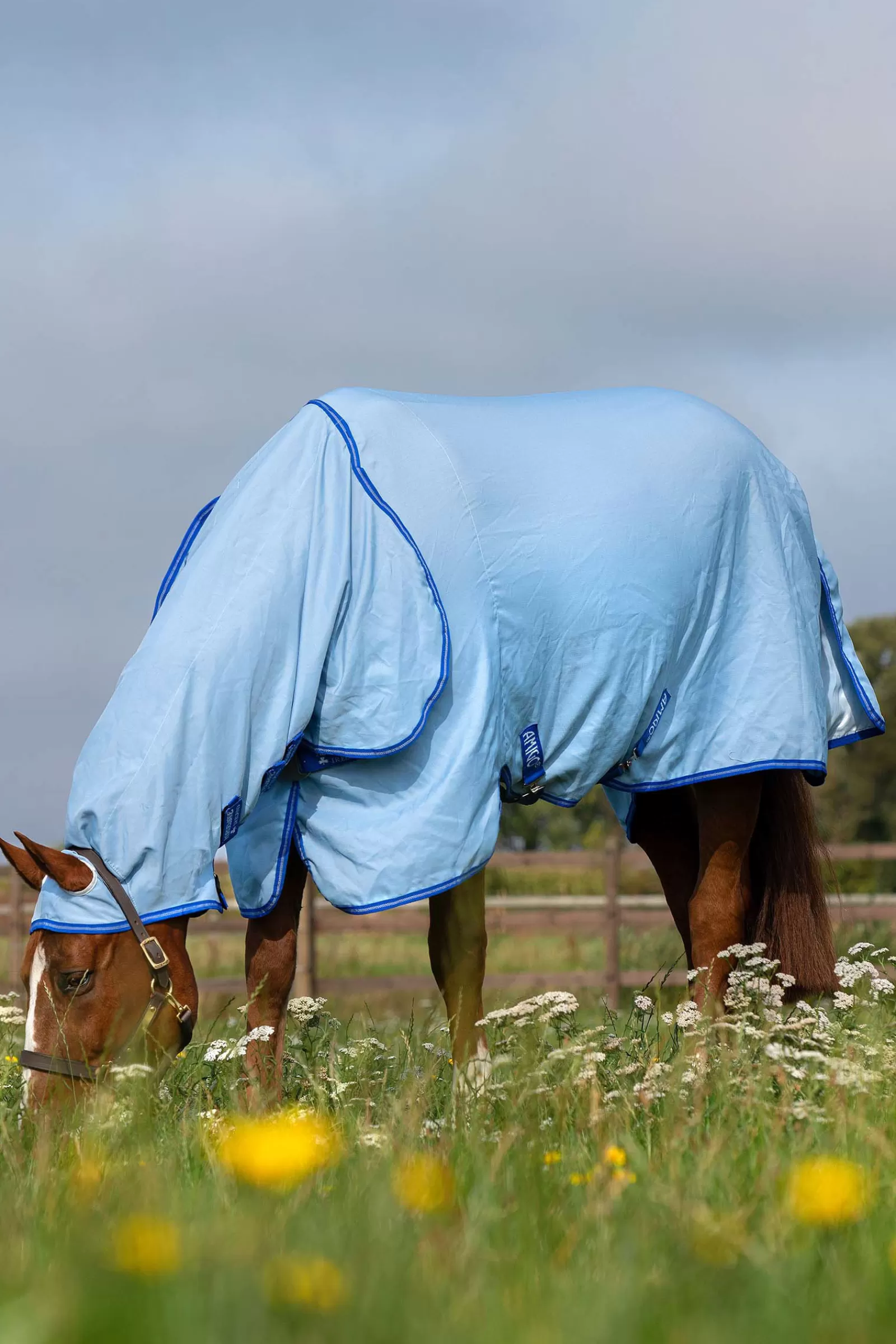 horseware Derka Amigo Z Kapturem Sweet Itch Ze Stalym Kolnierzem Azure Blue/ Strong Blue/ Silver Online