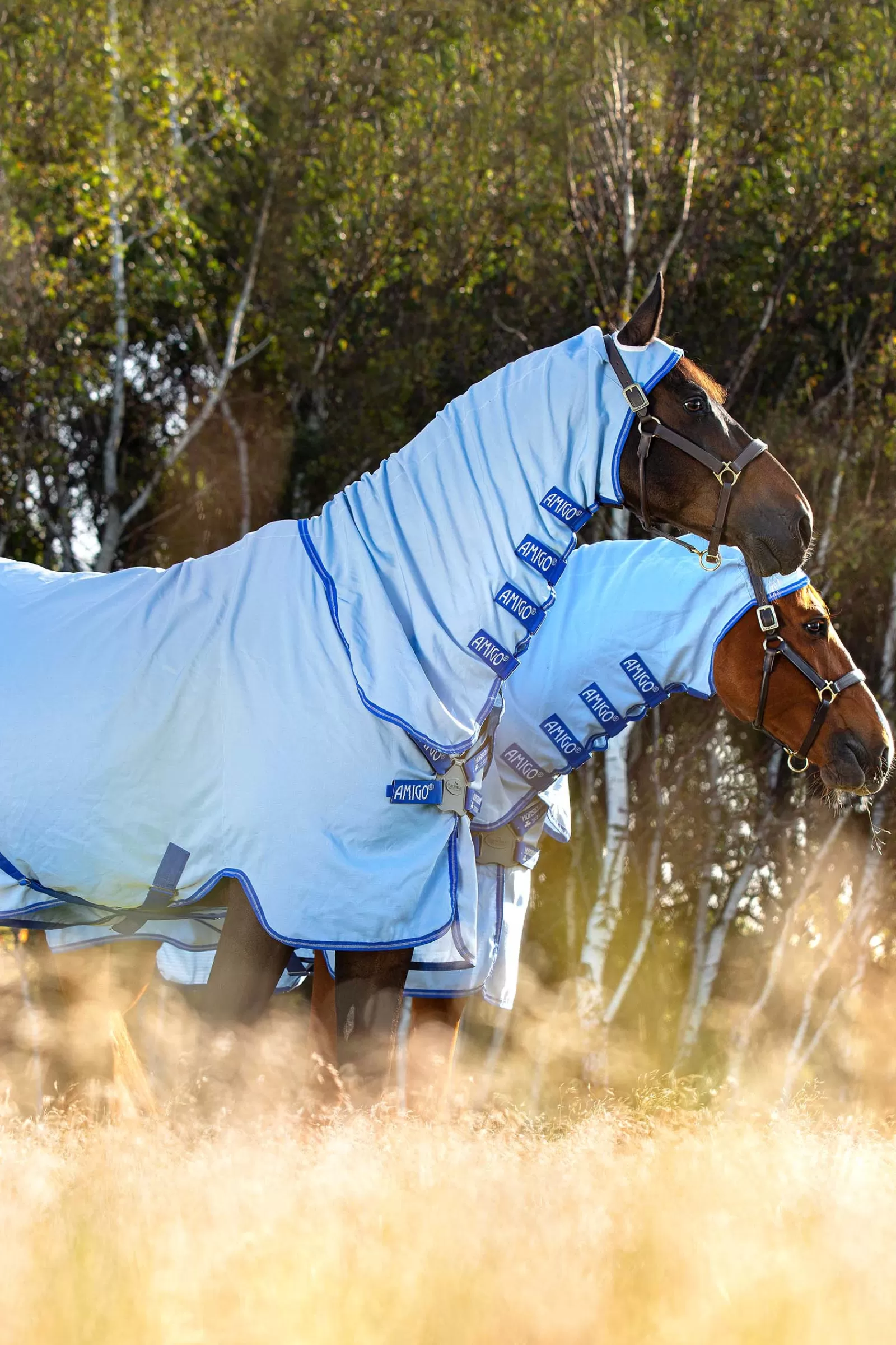 horseware Derka Amigo Z Kapturem Sweet Itch Ze Stalym Kolnierzem Azure Blue/ Strong Blue/ Silver Online