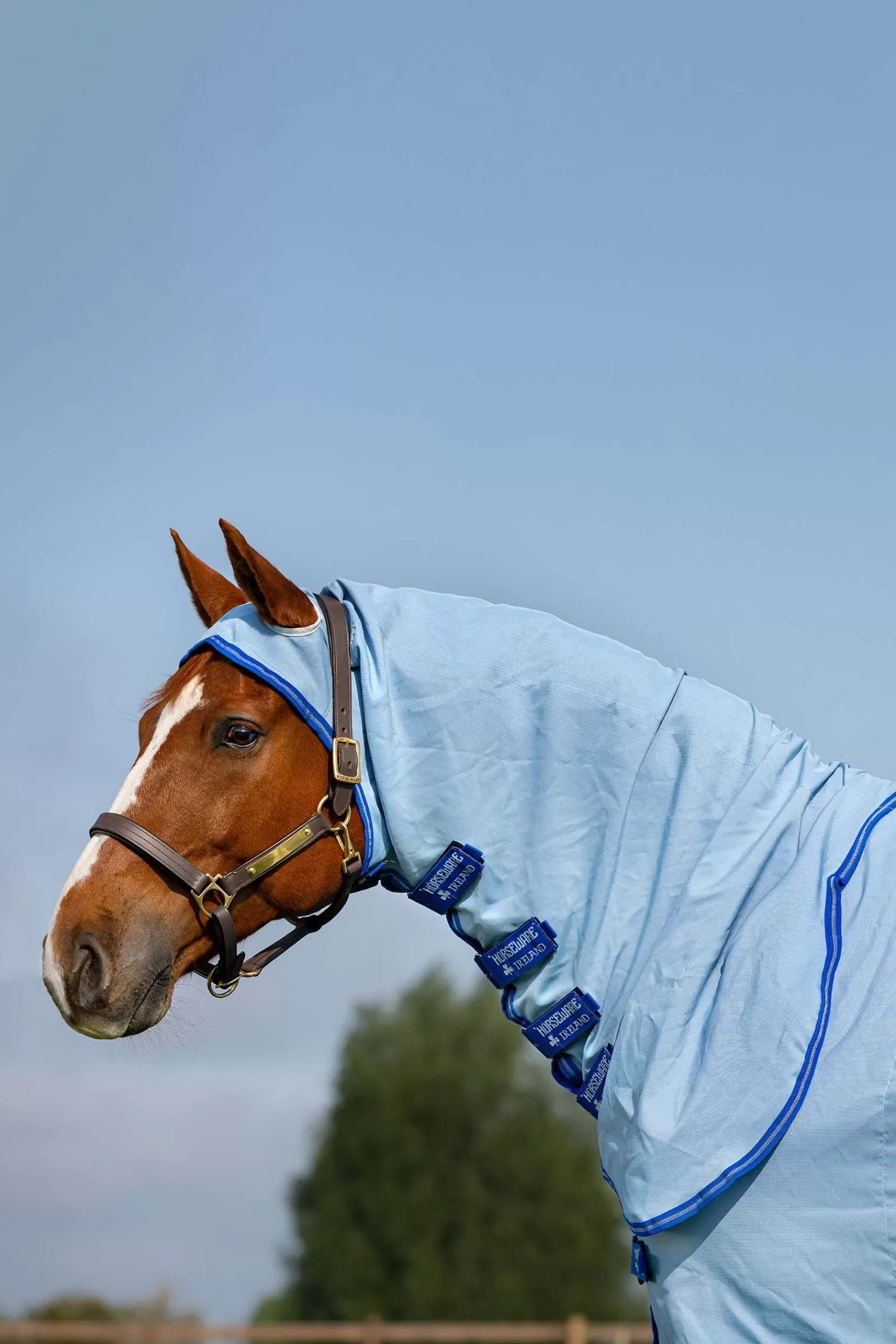 horseware Derka Amigo Z Kapturem Sweet Itch Ze Stalym Kolnierzem Azure Blue/ Strong Blue/ Silver Online