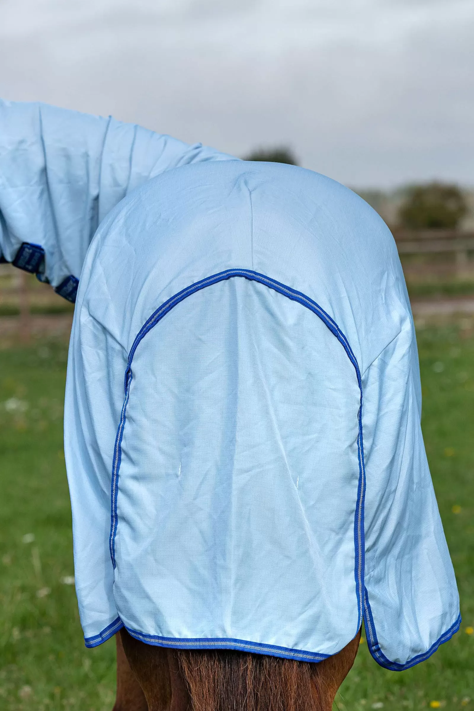 horseware Derka Amigo Z Kapturem Sweet Itch Ze Stalym Kolnierzem Azure Blue/ Strong Blue/ Silver Online