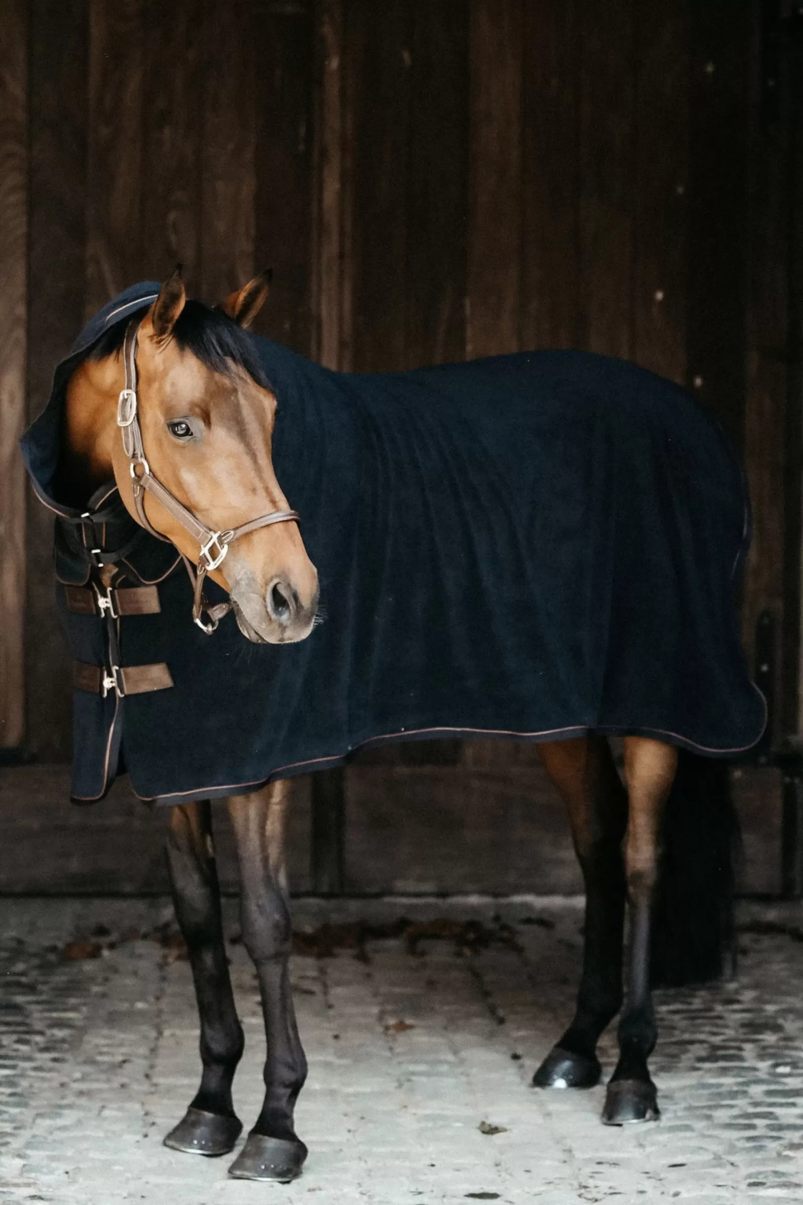 kentucky Derka Horsewear Towel