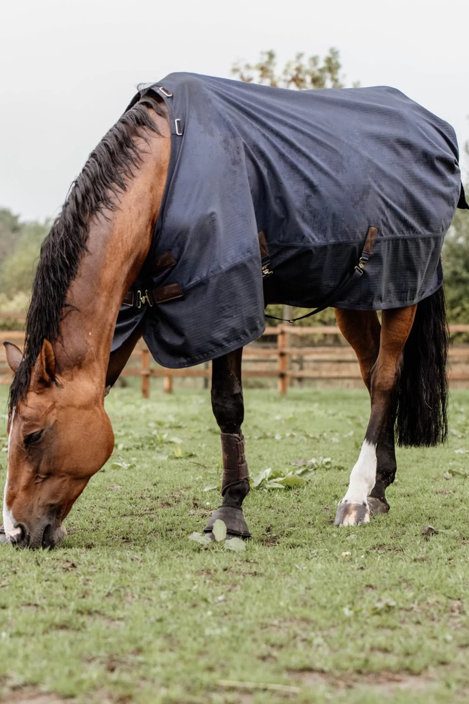 kentucky Derka Horsewear Turnout Na Kazda Pogode, 300 G