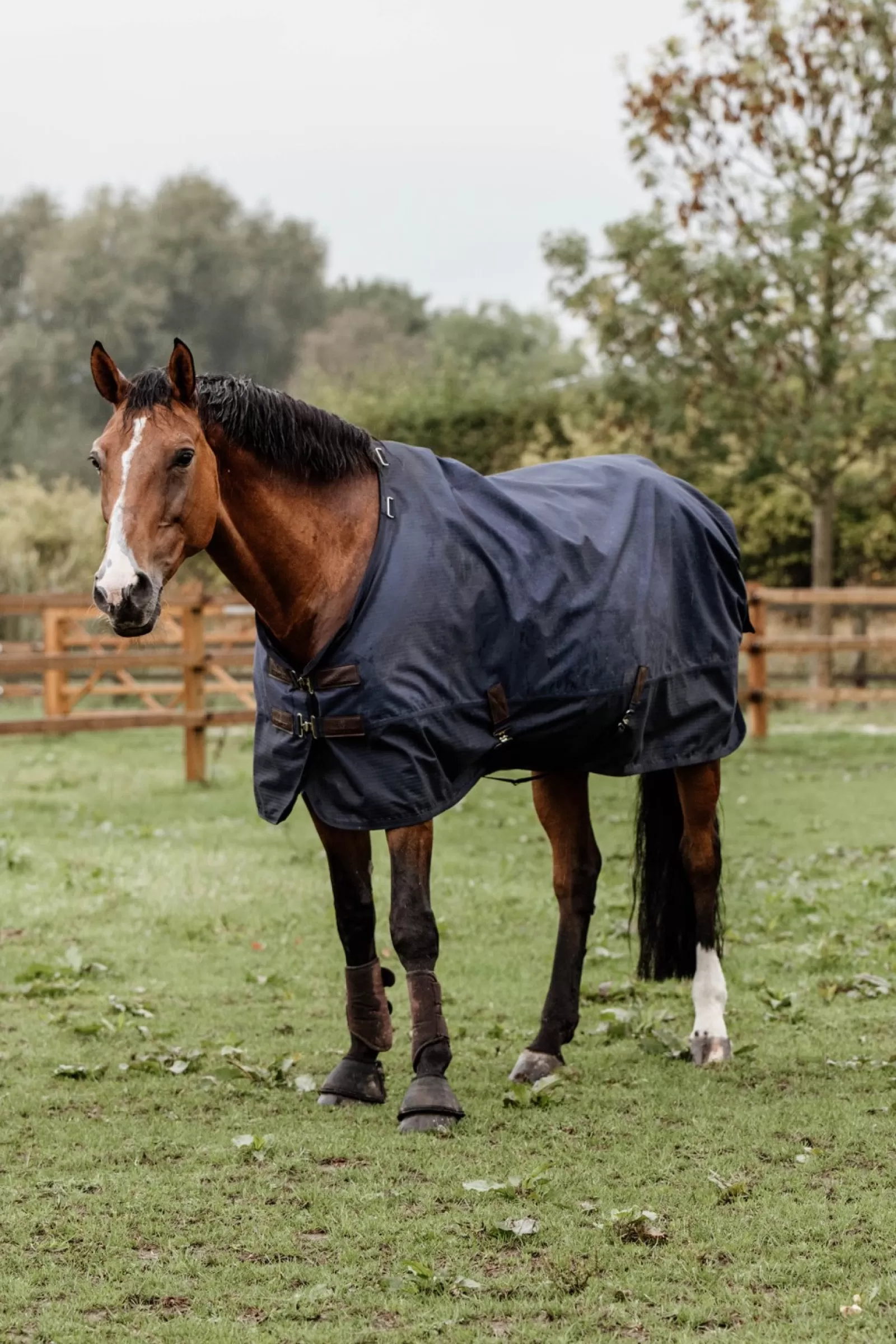 kentucky Derka Horsewear Turnout Na Kazda Pogode, 300 G