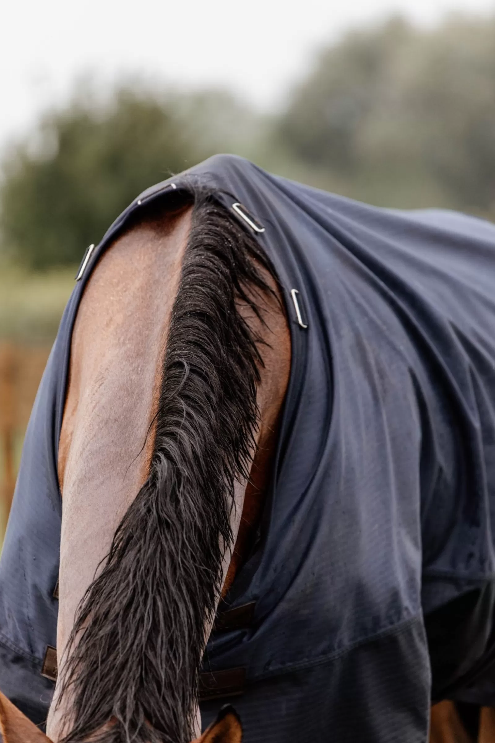 kentucky Derka Horsewear Turnout Na Kazda Pogode, 300 G