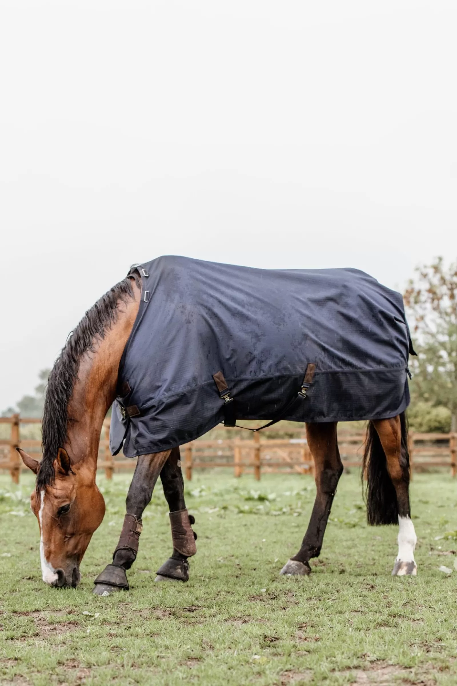 kentucky Derka Horsewear Turnout Na Kazda Pogode, 300 G