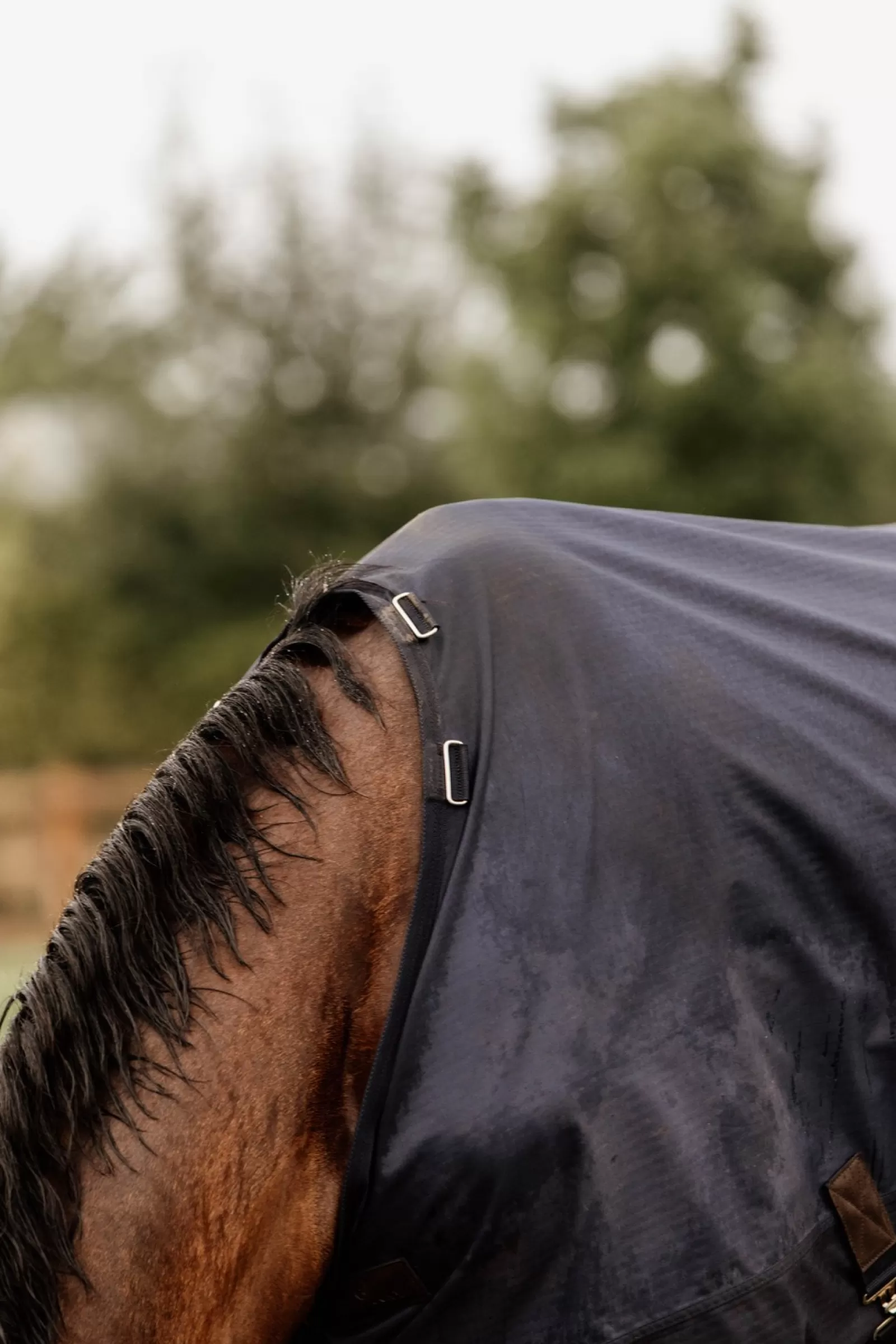kentucky Derka Horsewear Turnout Na Kazda Pogode, 300 G