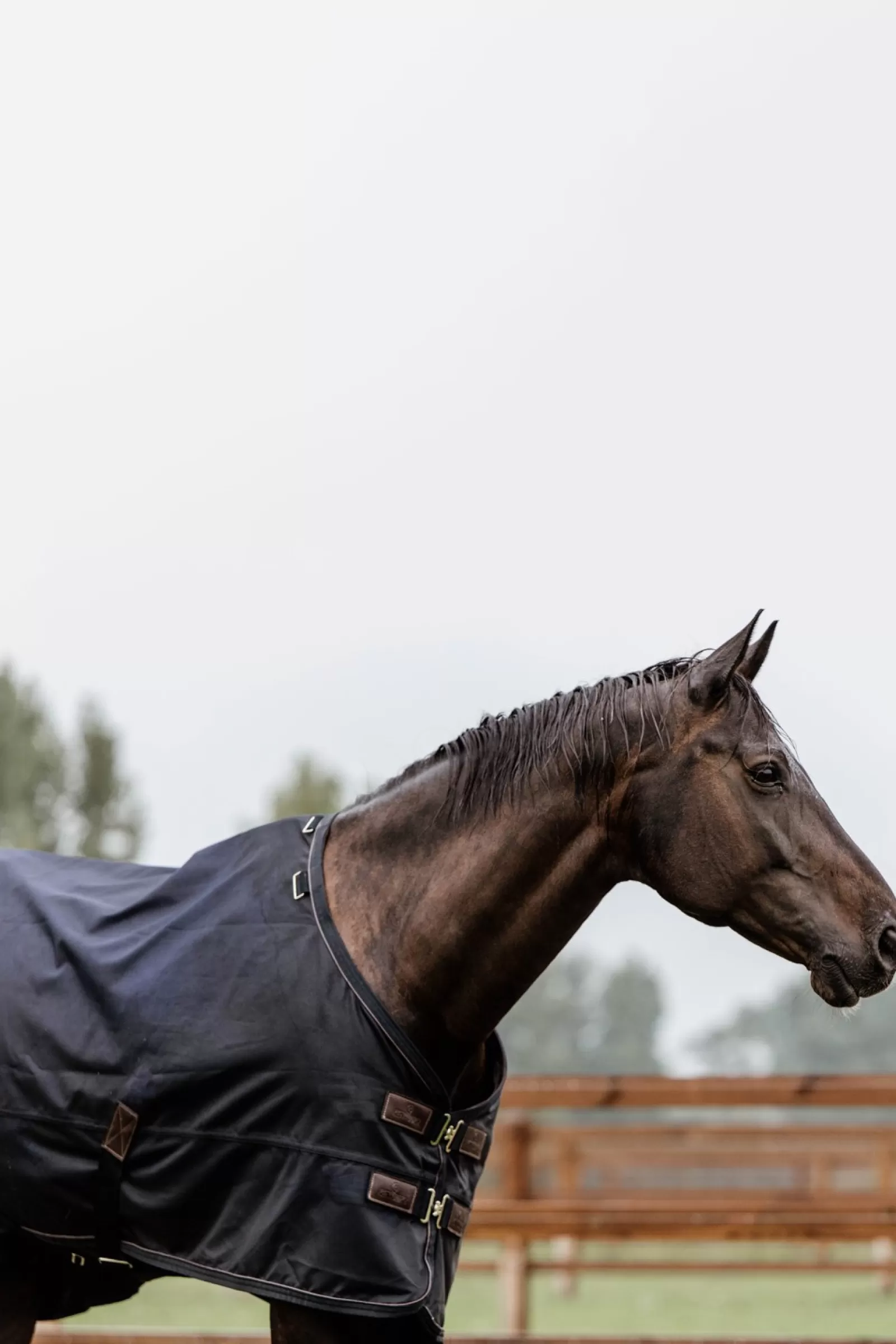 kentucky Derka Horsewear Turnout Na Kazda Pogode, 300 G