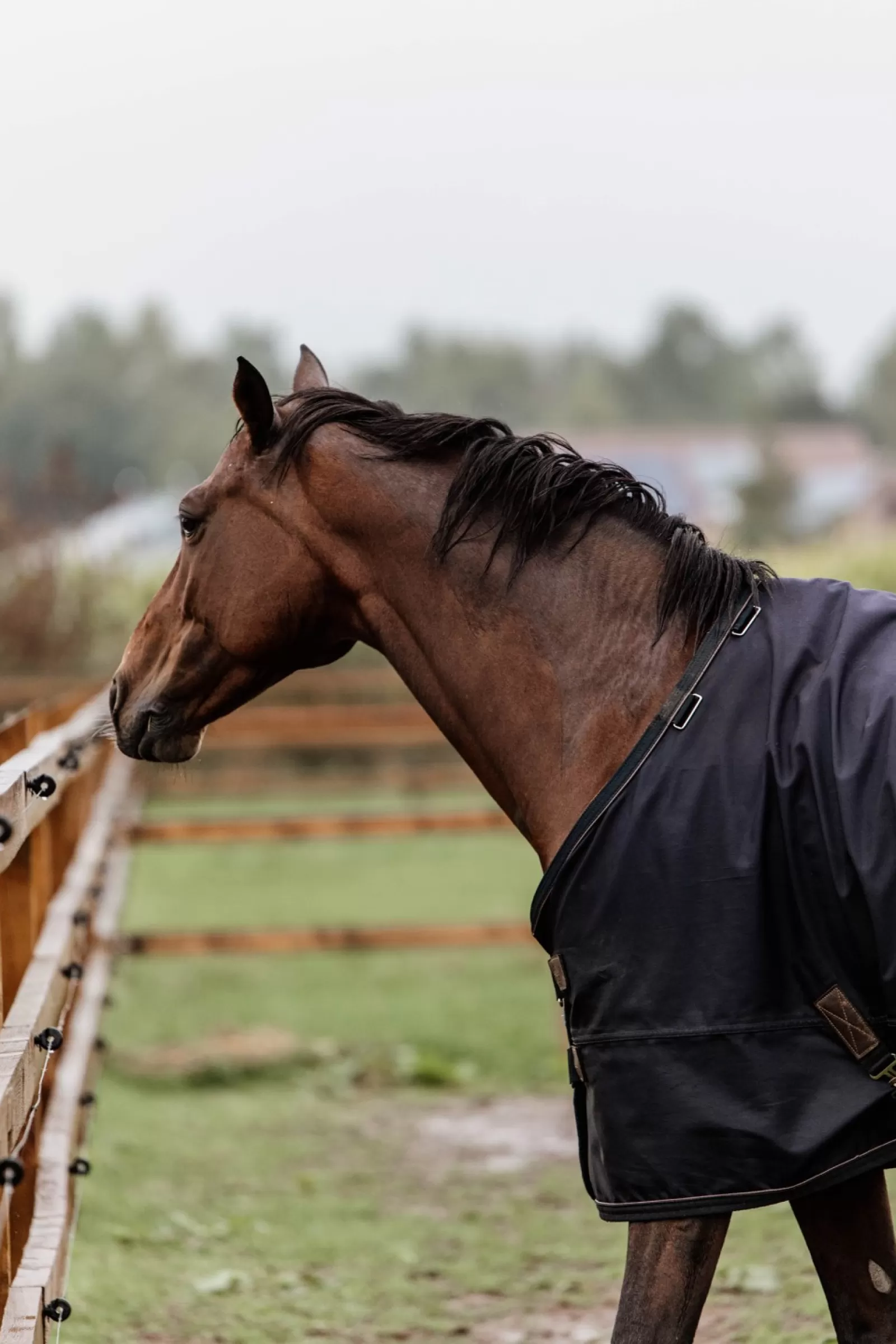 kentucky Derka Horsewear Turnout Na Kazda Pogode, 300 G