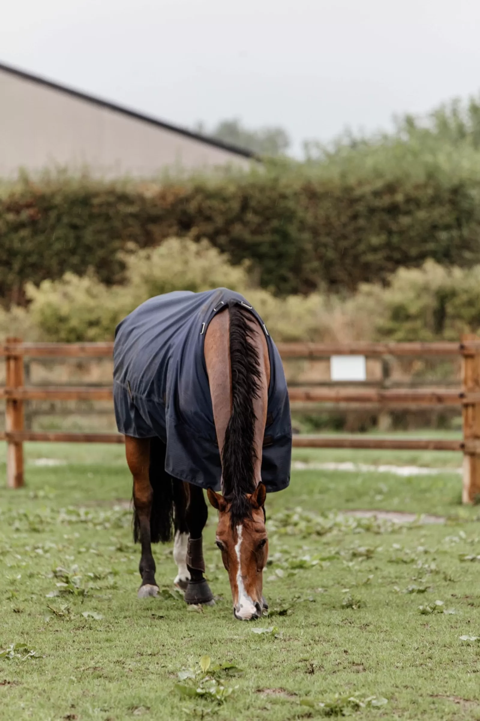 kentucky Derka Horsewear Turnout Na Kazda Pogode, 300 G