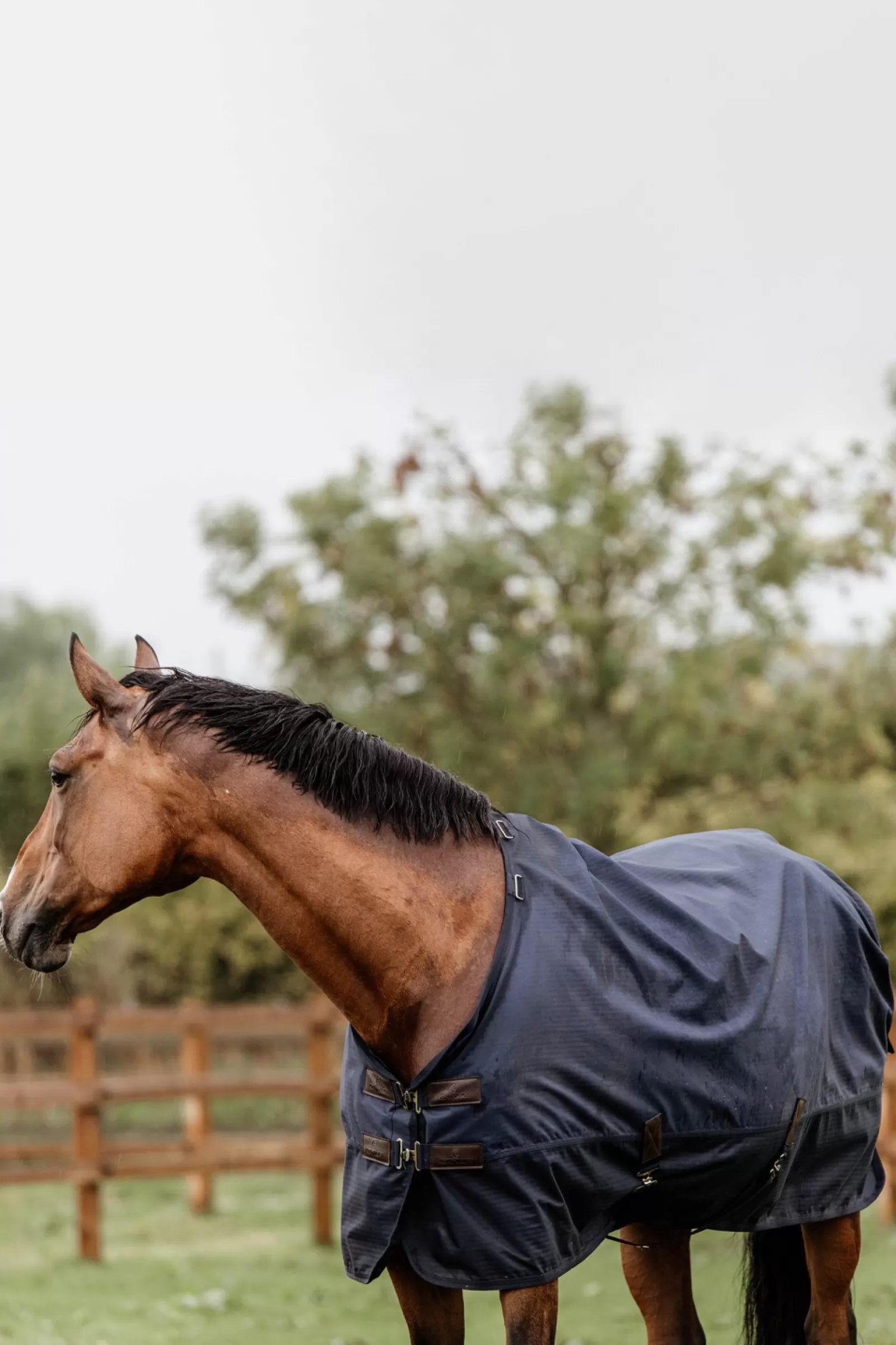 kentucky Derka Horsewear Turnout Na Kazda Pogode, 300 G