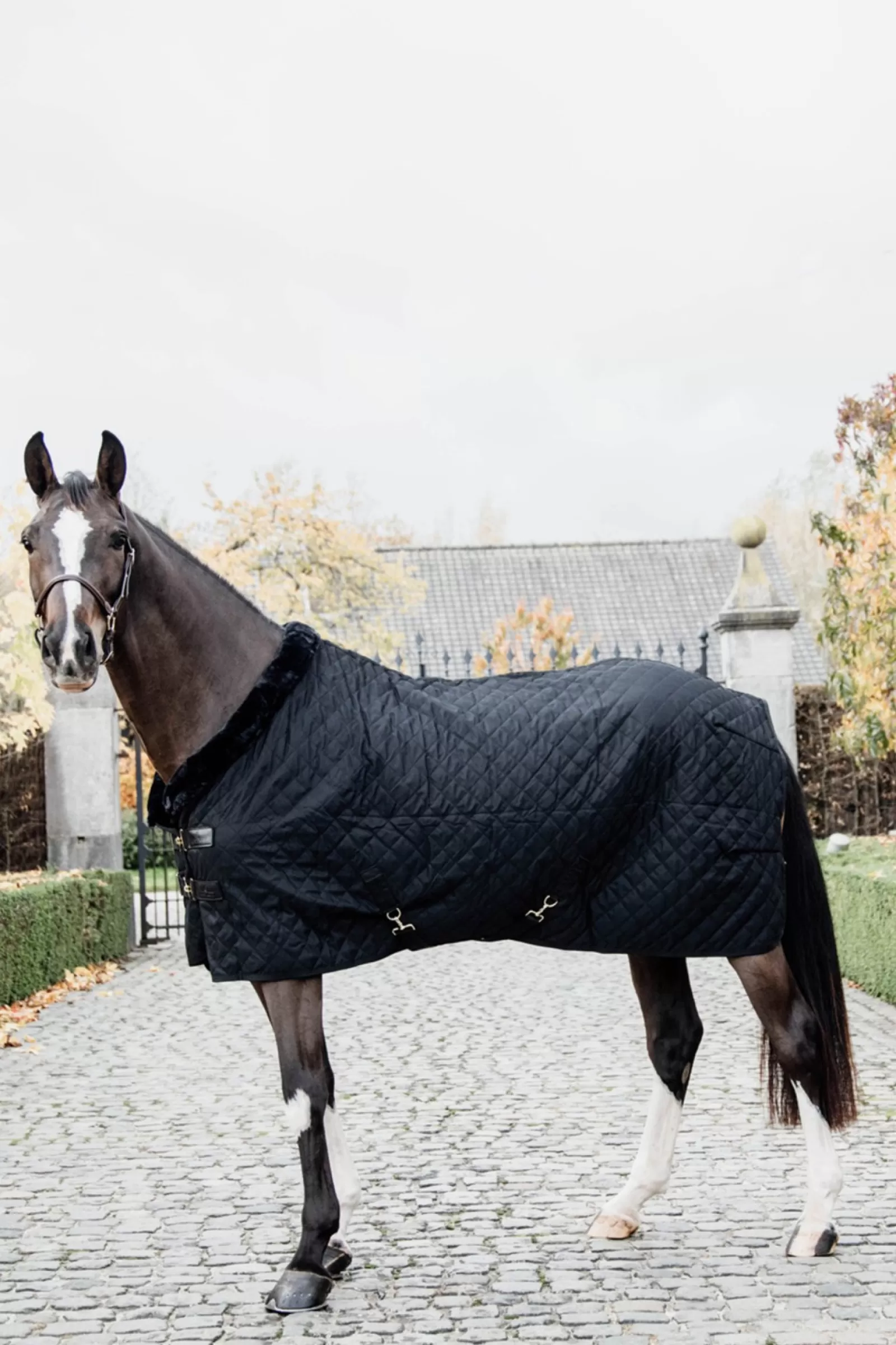 kentucky Derka Na Zawody Horsewear 160G