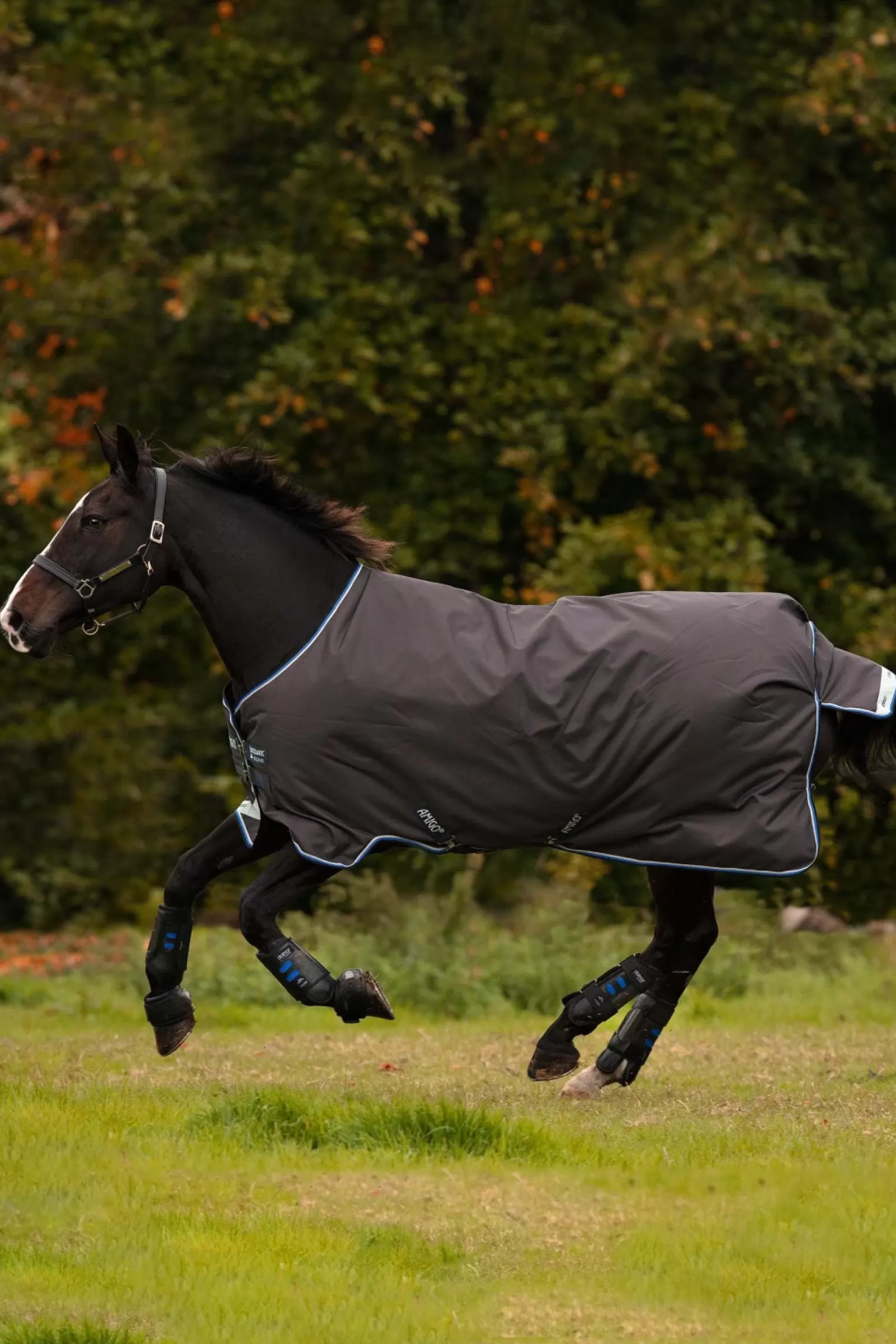 horseware Derka Padokowa Amigo Bravo 12, 100G