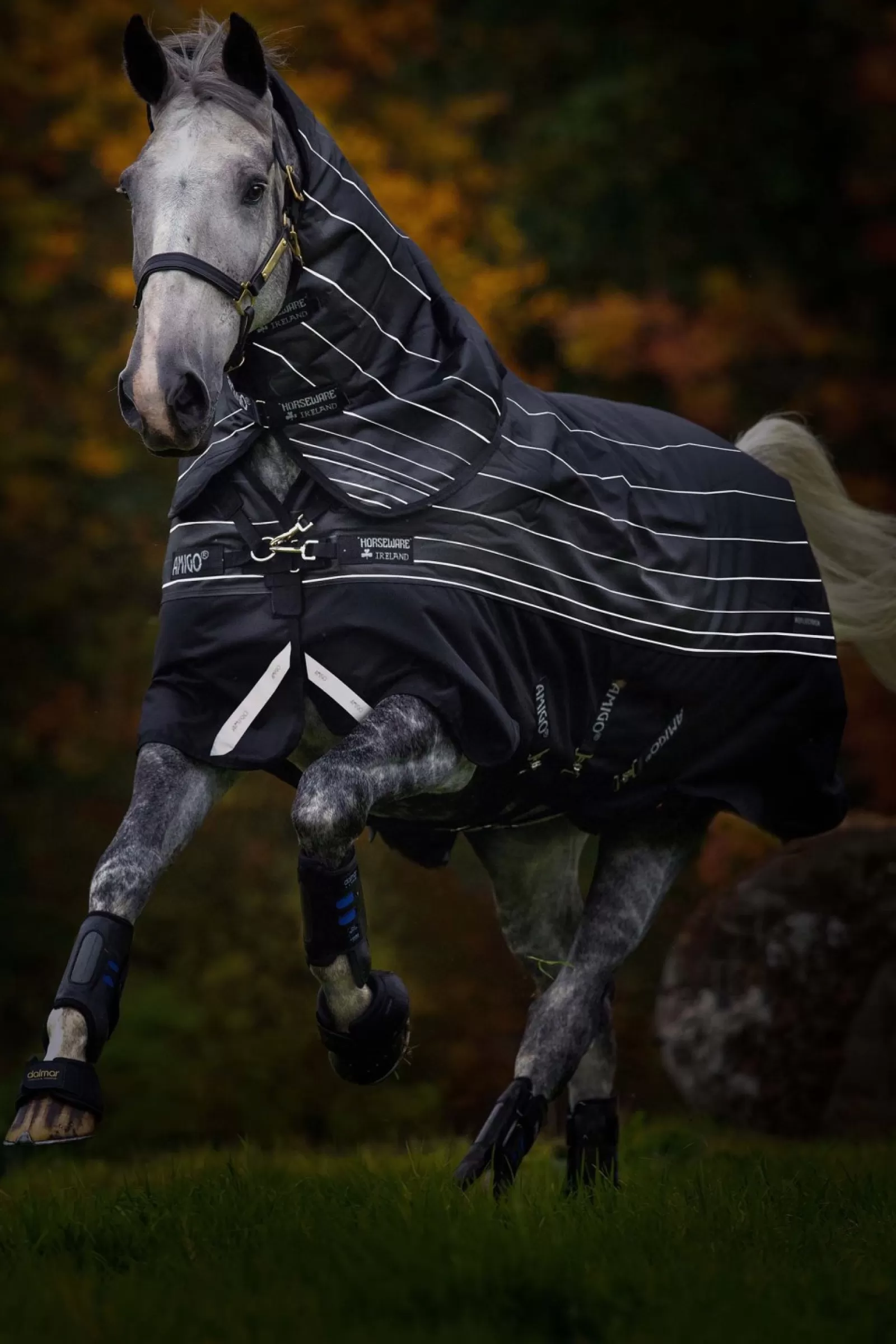 horseware Derka Padokowa Amigo Bravo 12 Reflective Plus Z Odpinanym Kapturem, 250G