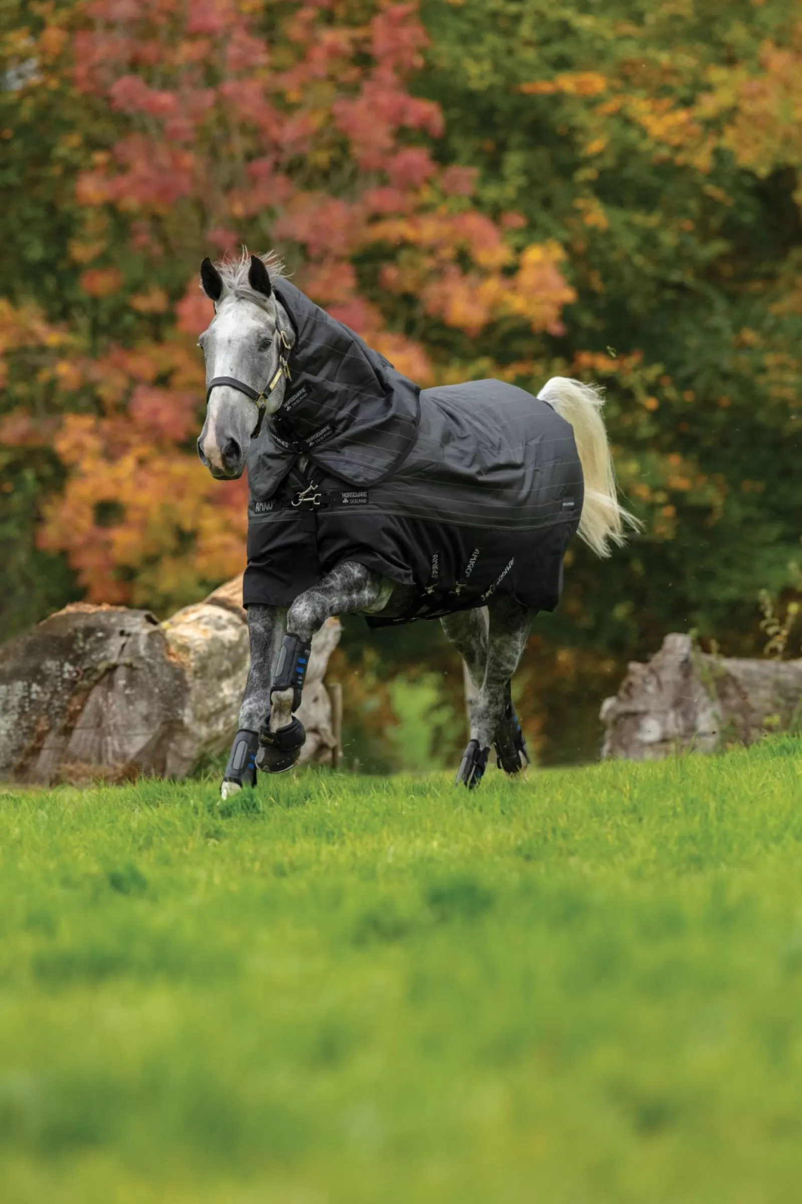 horseware Derka Padokowa Amigo Bravo 12 Reflective Plus Z Odpinanym Kapturem, 250G