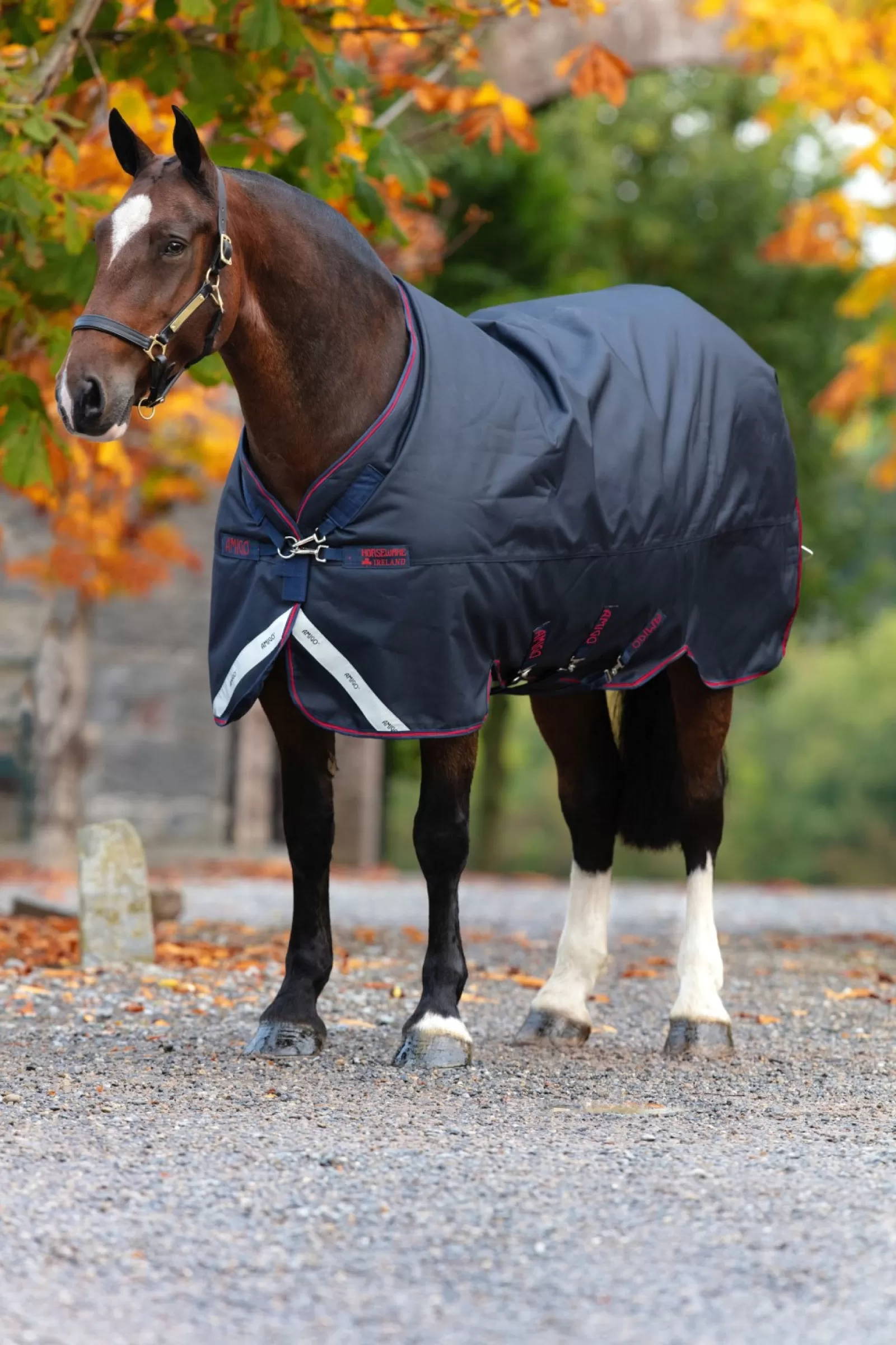 horseware Derka Padokowa Amigo Bravo 12Xl, 0 G