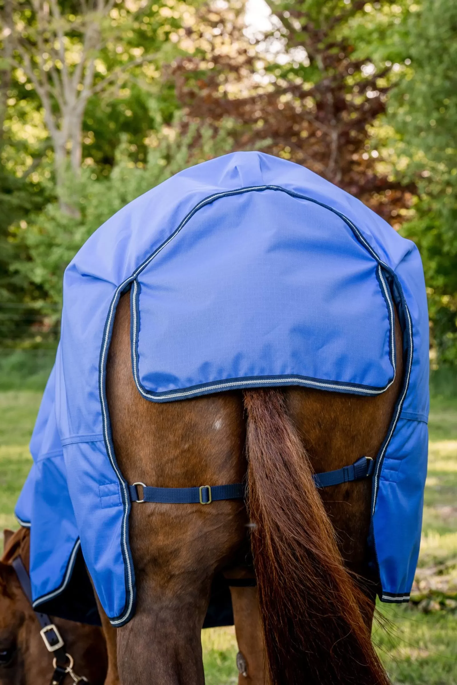 horseware Derka Padokowa Amigo Hero Ripstop Plus Z Odpinanym Kapturem, 100G