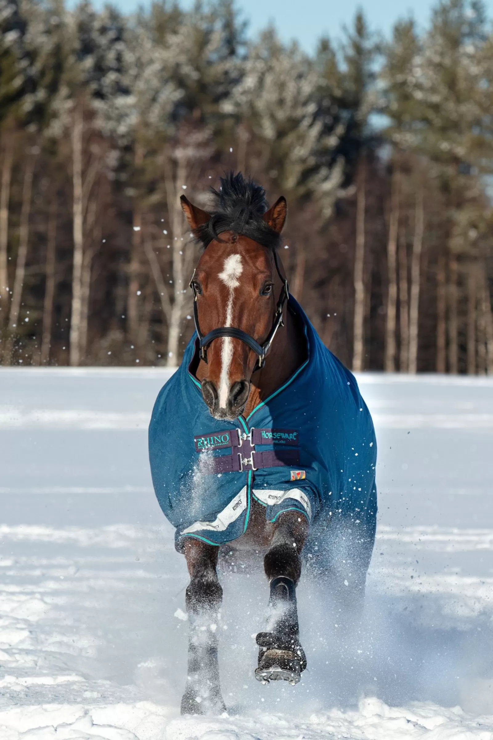 horseware Derka Padokowa Rhino Original Vari-Layer, 250G