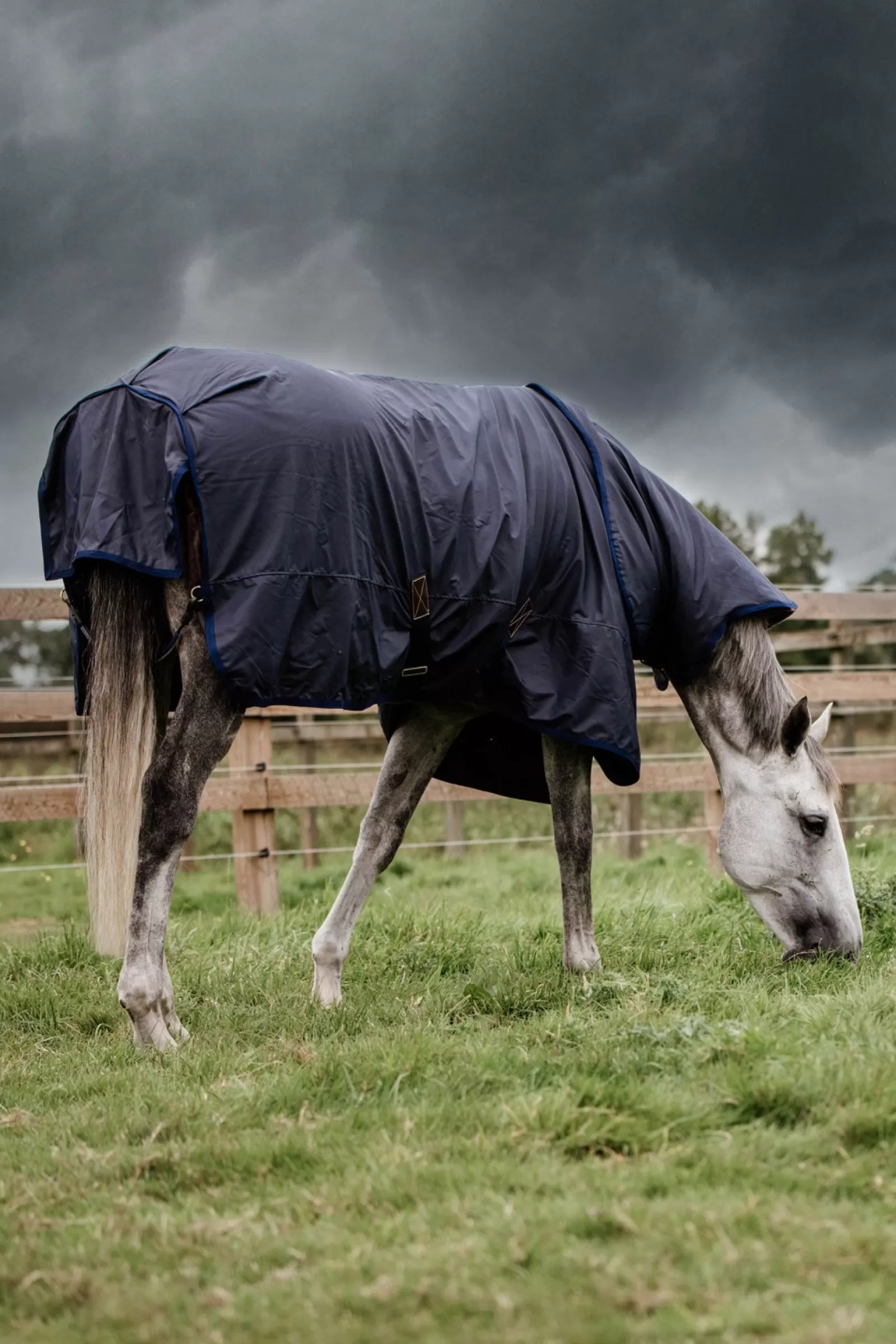 kentucky Derka Padokowa Horsewear All Weather Hurricane, 50 G
