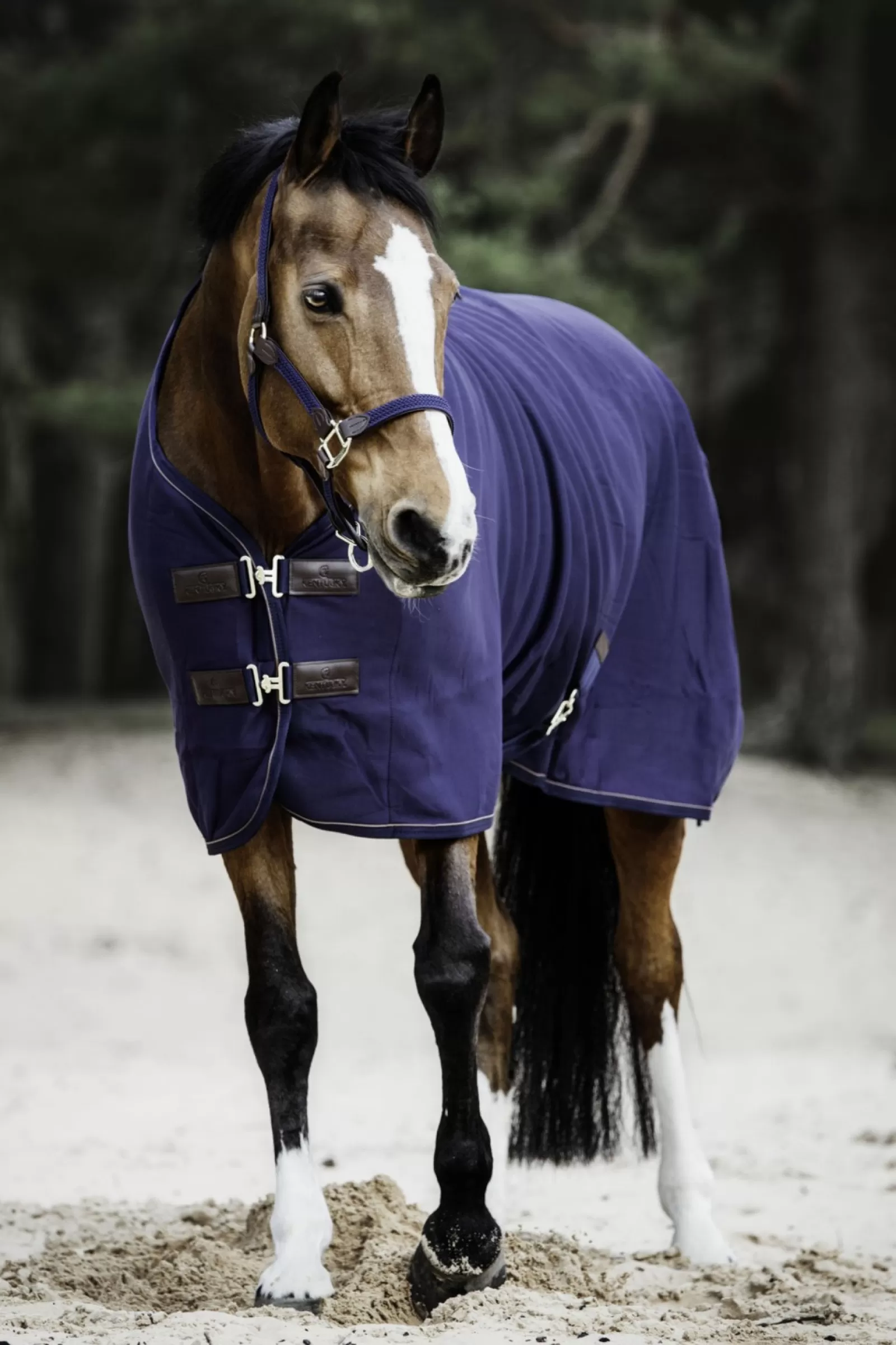 kentucky Derka Polarowa Horsewear Cooler Fleece