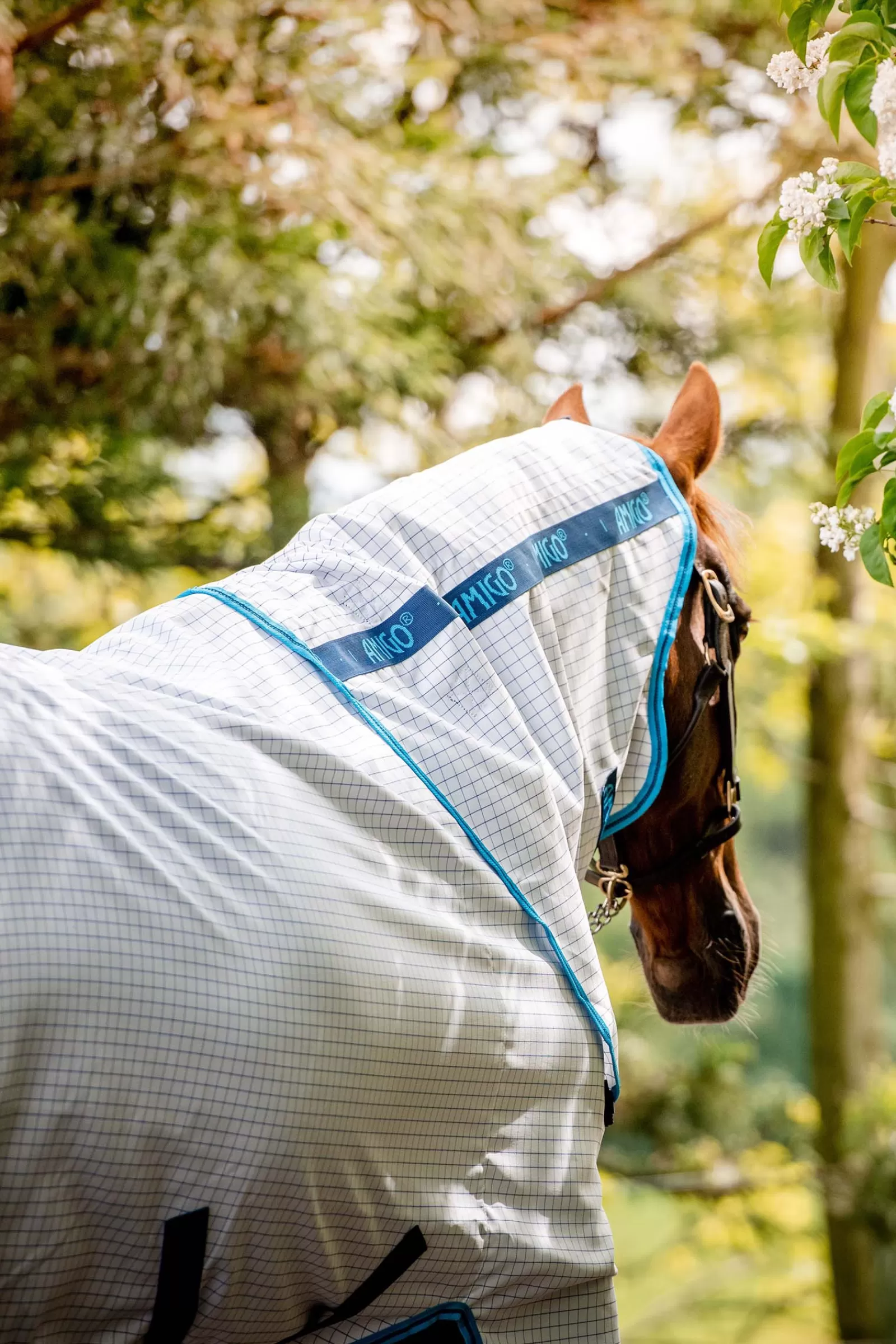 horseware Derka Przeciwko Owadom Amigo Aussie Allrounder Z Odpinanym Kapturem I Zapieciem Na Dysk Navy/Electric Blue Shop