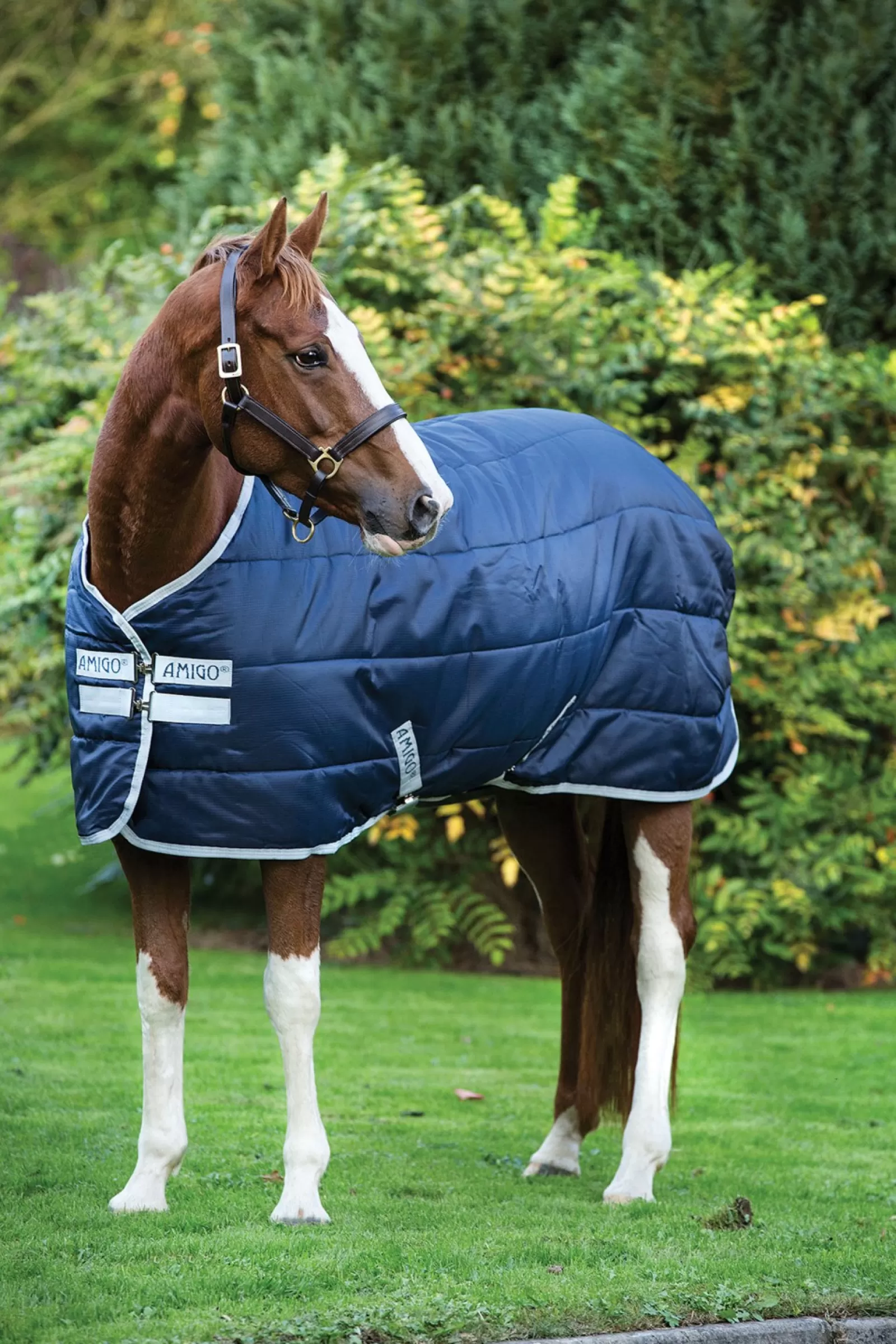 horseware Derka Stajenna Amigo Insulator, 200G