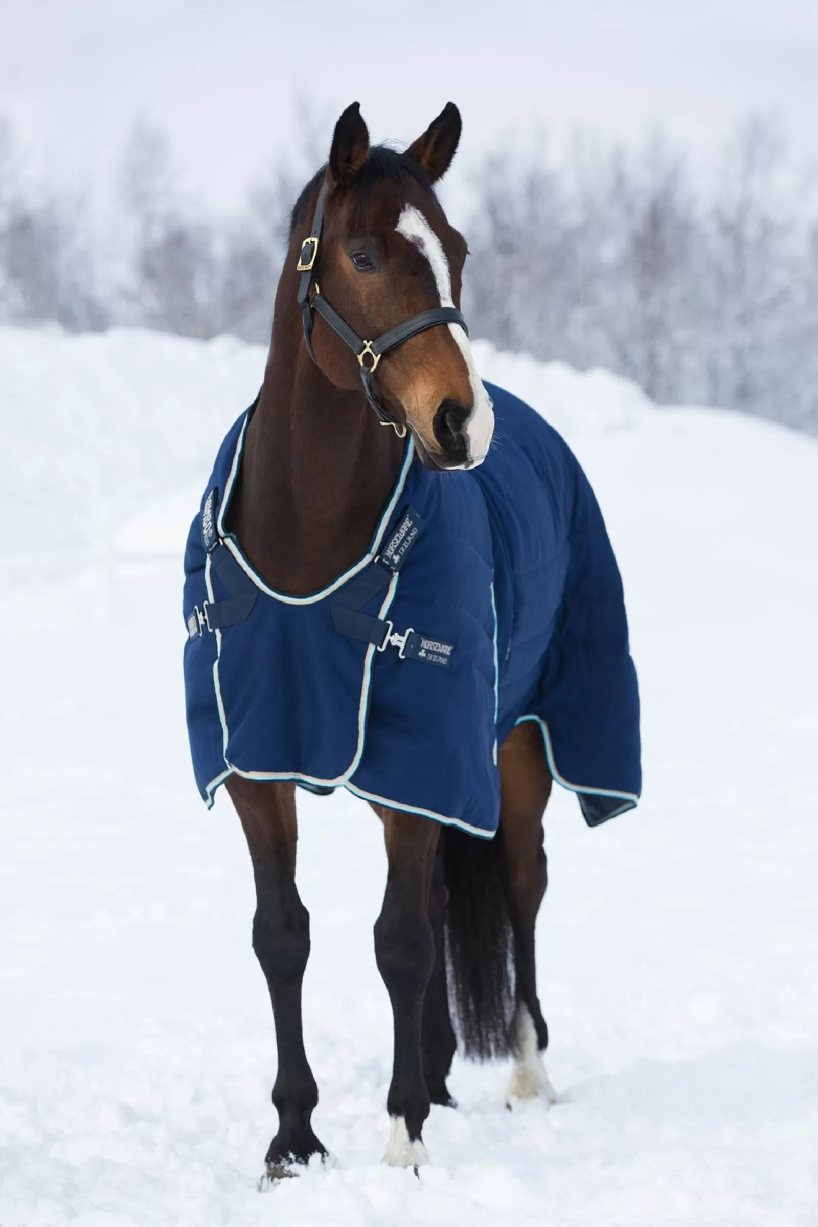 horseware Derka Stajenna Rambo Optimo, 400 G