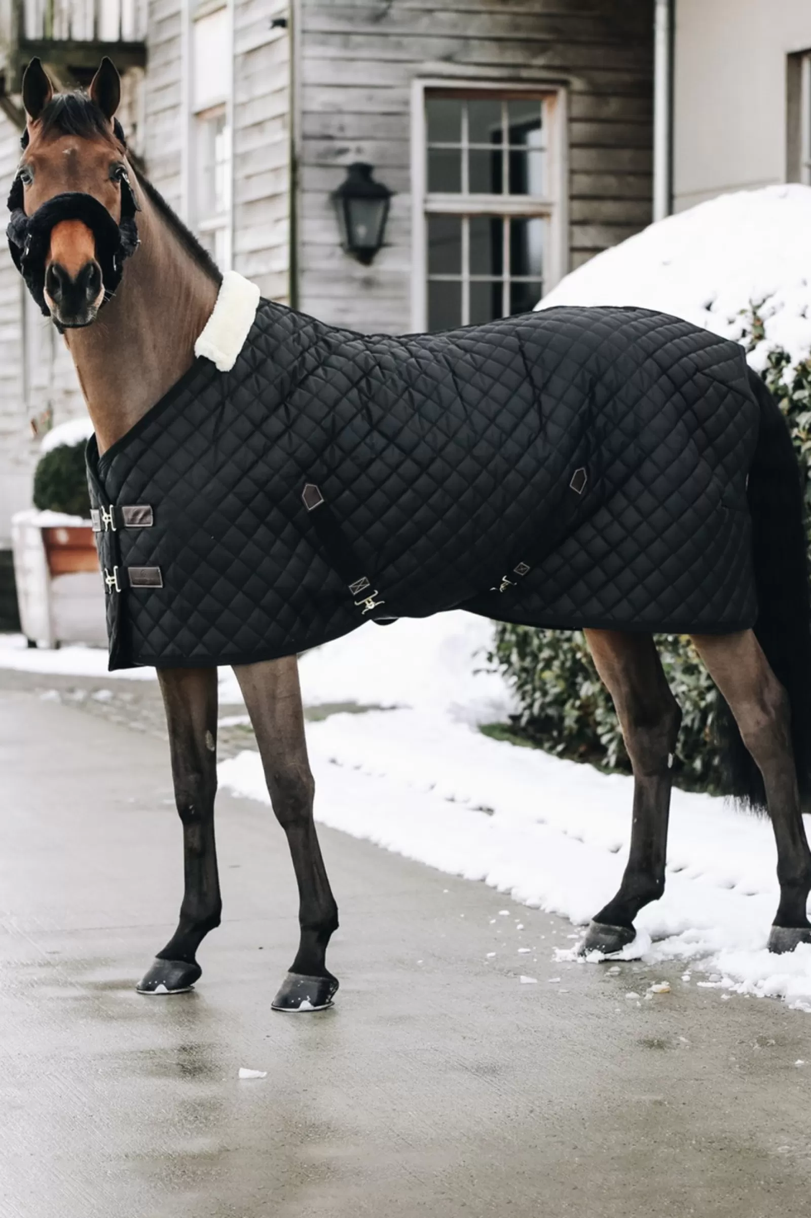 kentucky Derka Stajenna Horsewear 400G