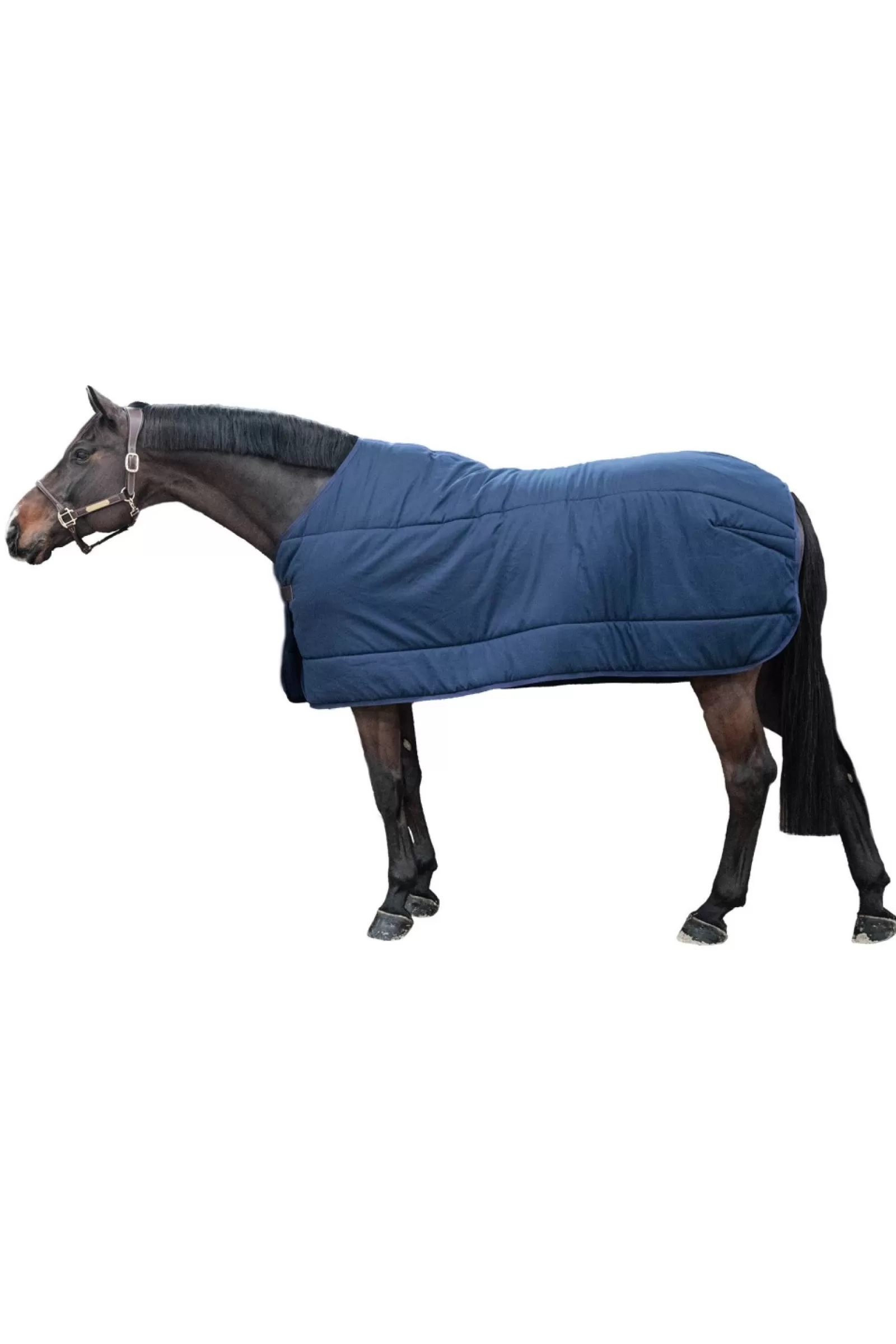 kentucky Derka Stajenna Horsewear Classic, 300 G