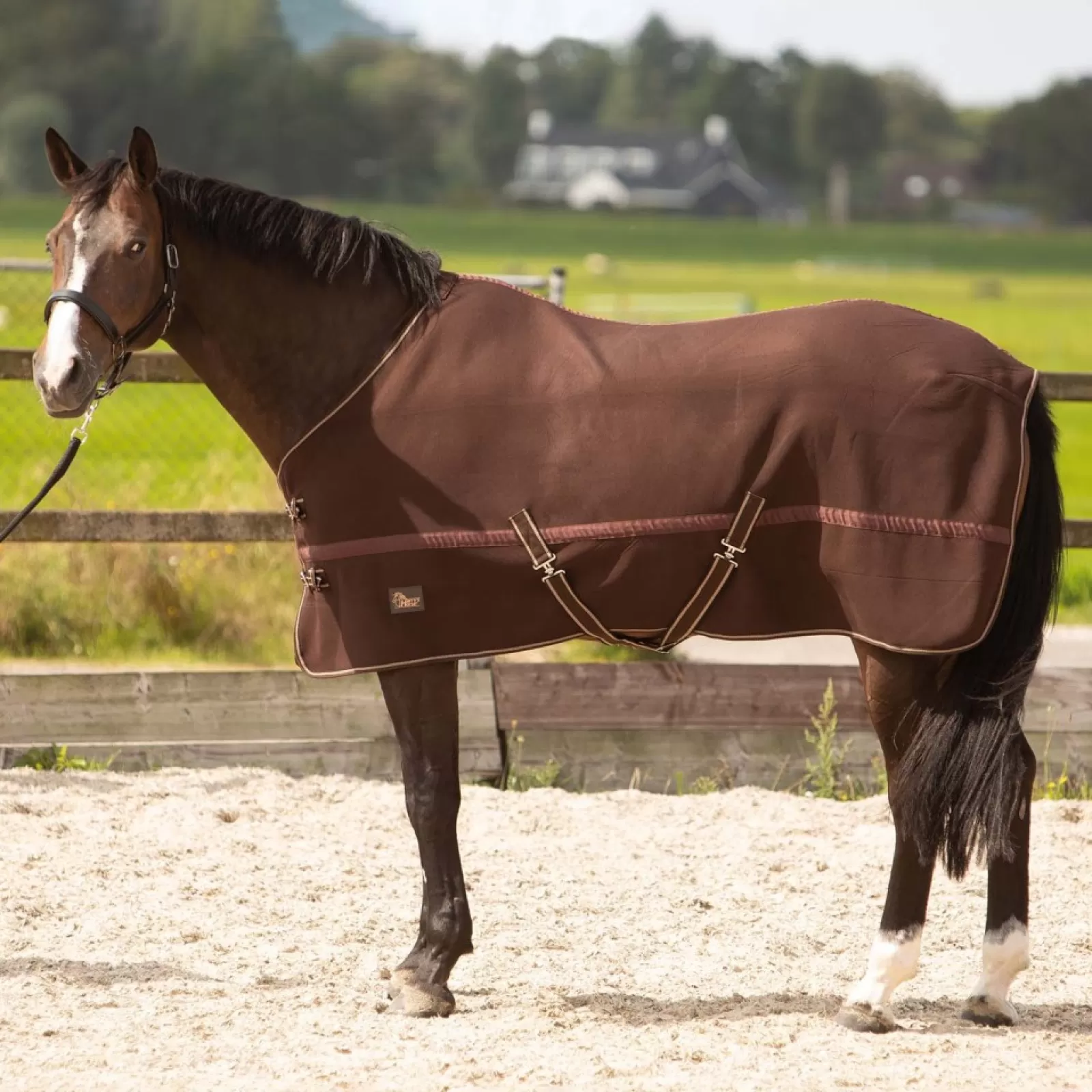 harryshorse Harry'S Horse Derka Osuszajaca