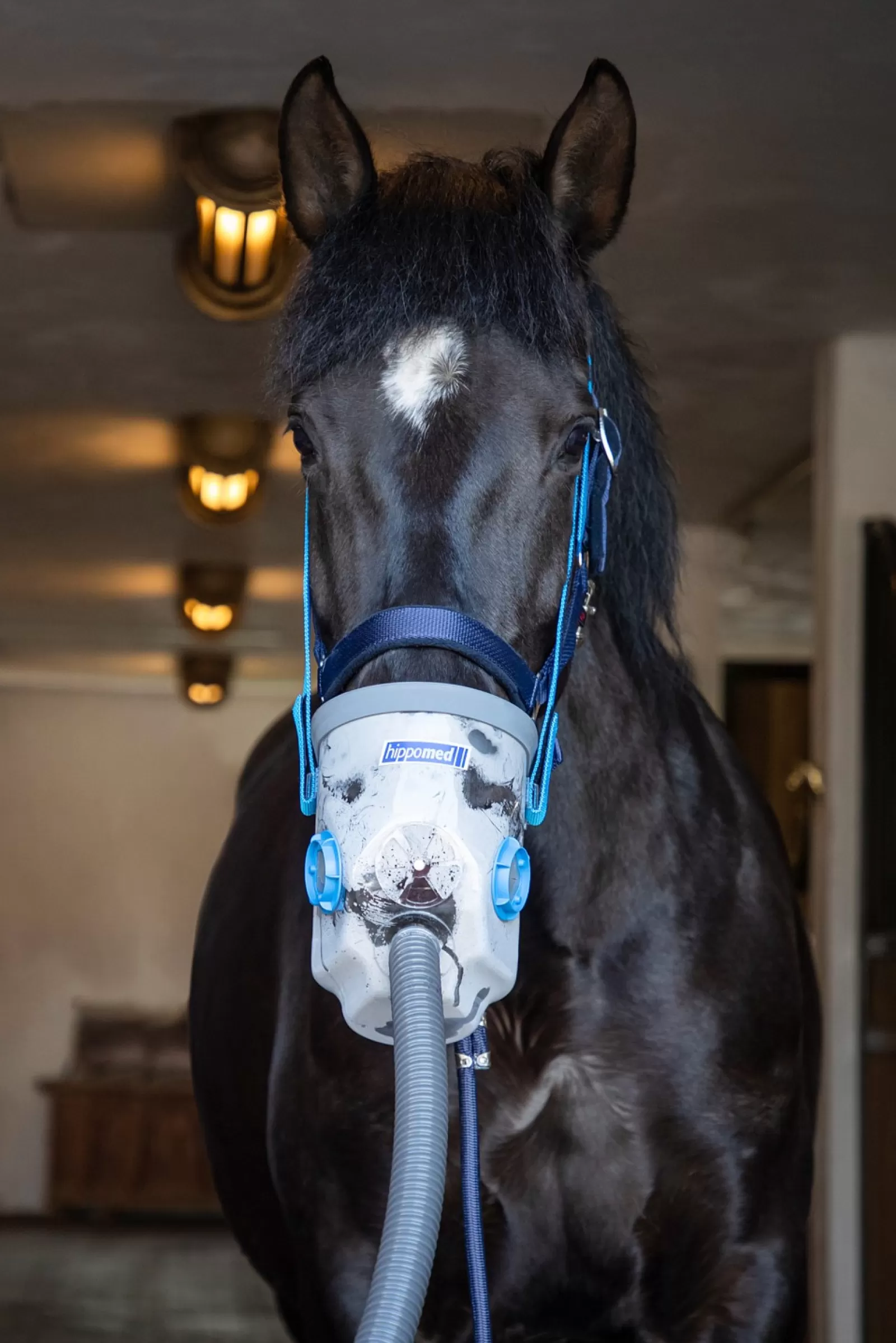 hippomed Airone Flex Inhalator Ultradzwiekowy Z Maska, Dla Koni Goracokrwistych