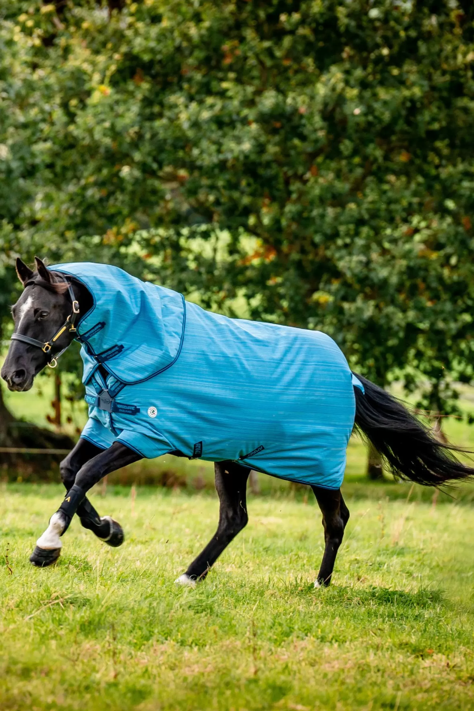 horseware Amigo Hero 900 Revive Plus Derka Padokowa Z Odpinanym Kapturem, 50 G