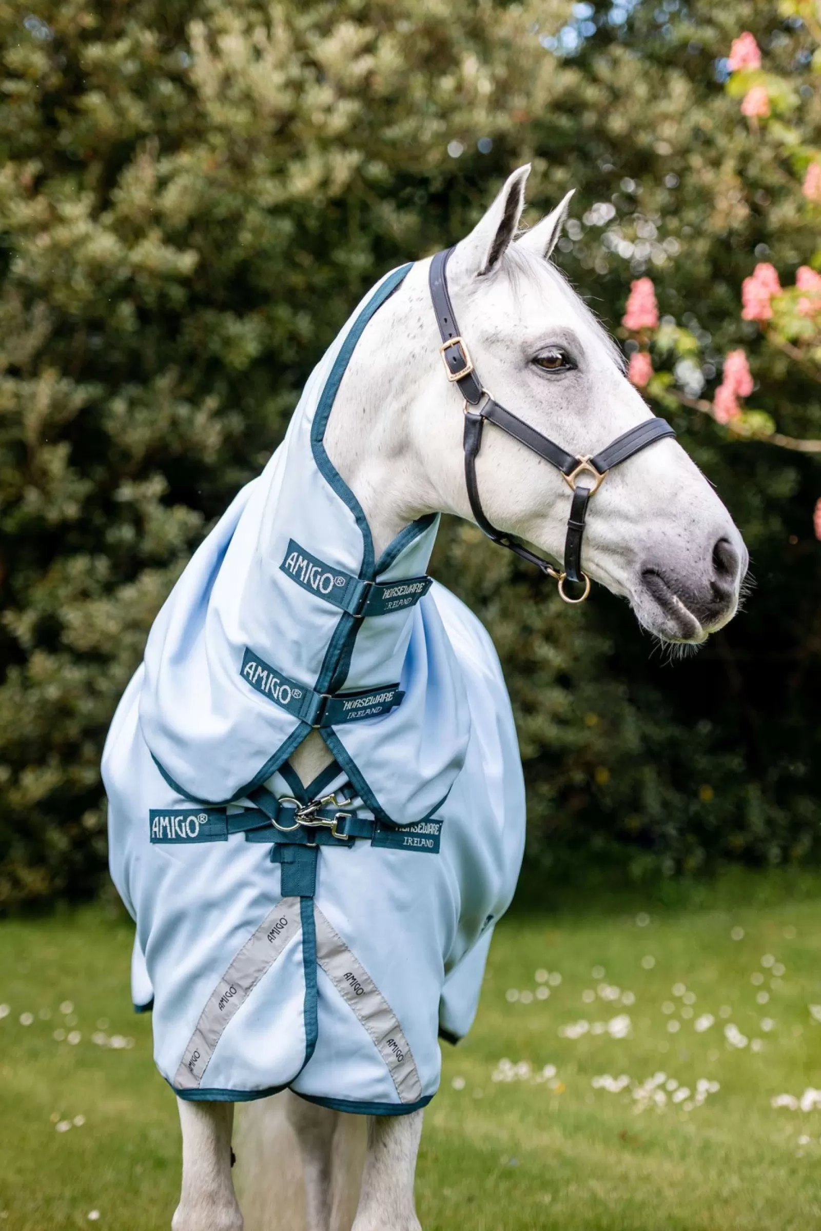 horseware Amigo Plant Dye Derka Padokowa Farbowana Barwnikami Pochodzenia Roslinnego, 50G