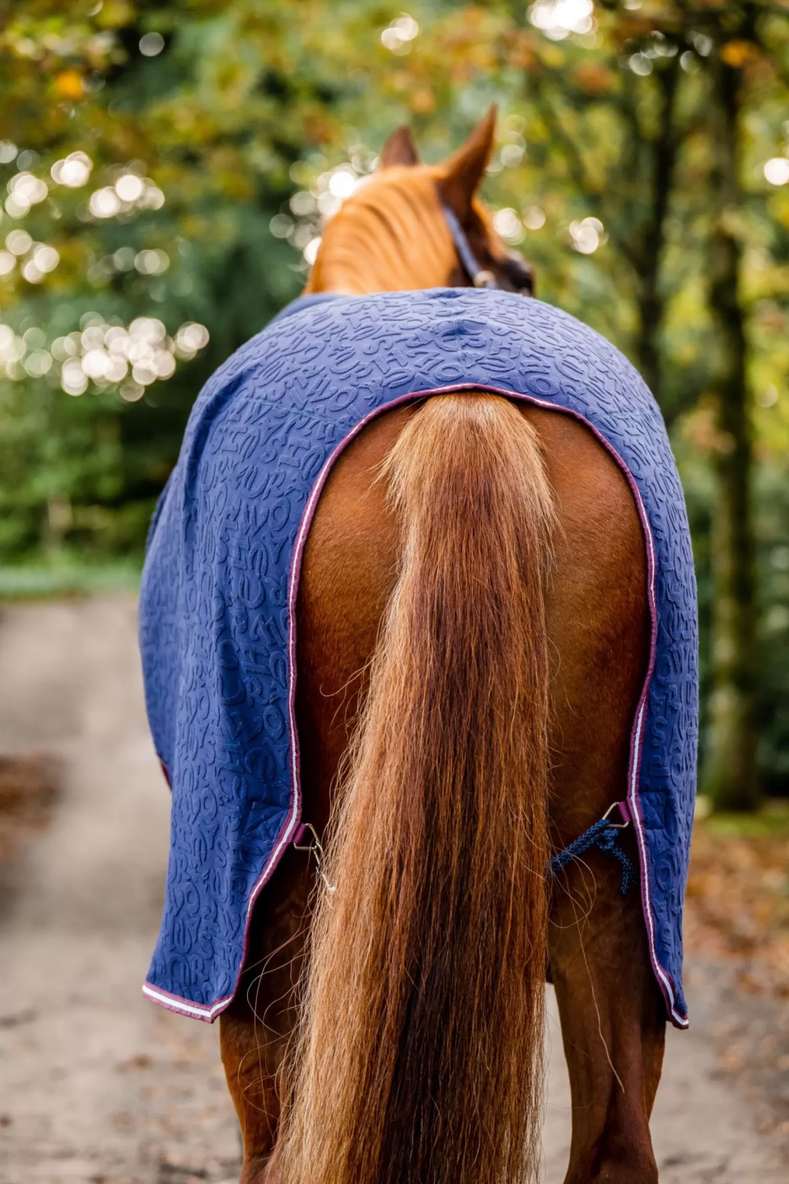 horseware Miekka Derka Osuszajaca Z Kapturem I Wytlaczanym Wzorem