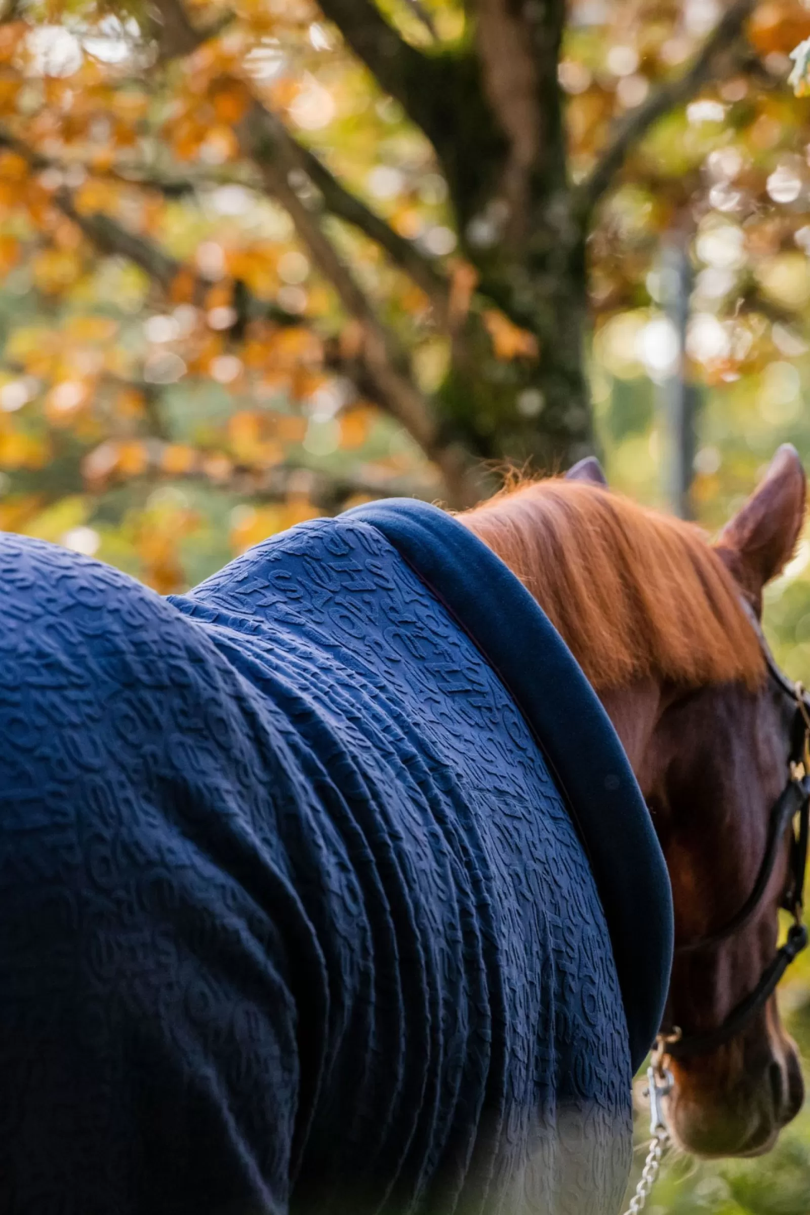 horseware Miekka Derka Osuszajaca Z Kapturem I Wytlaczanym Wzorem