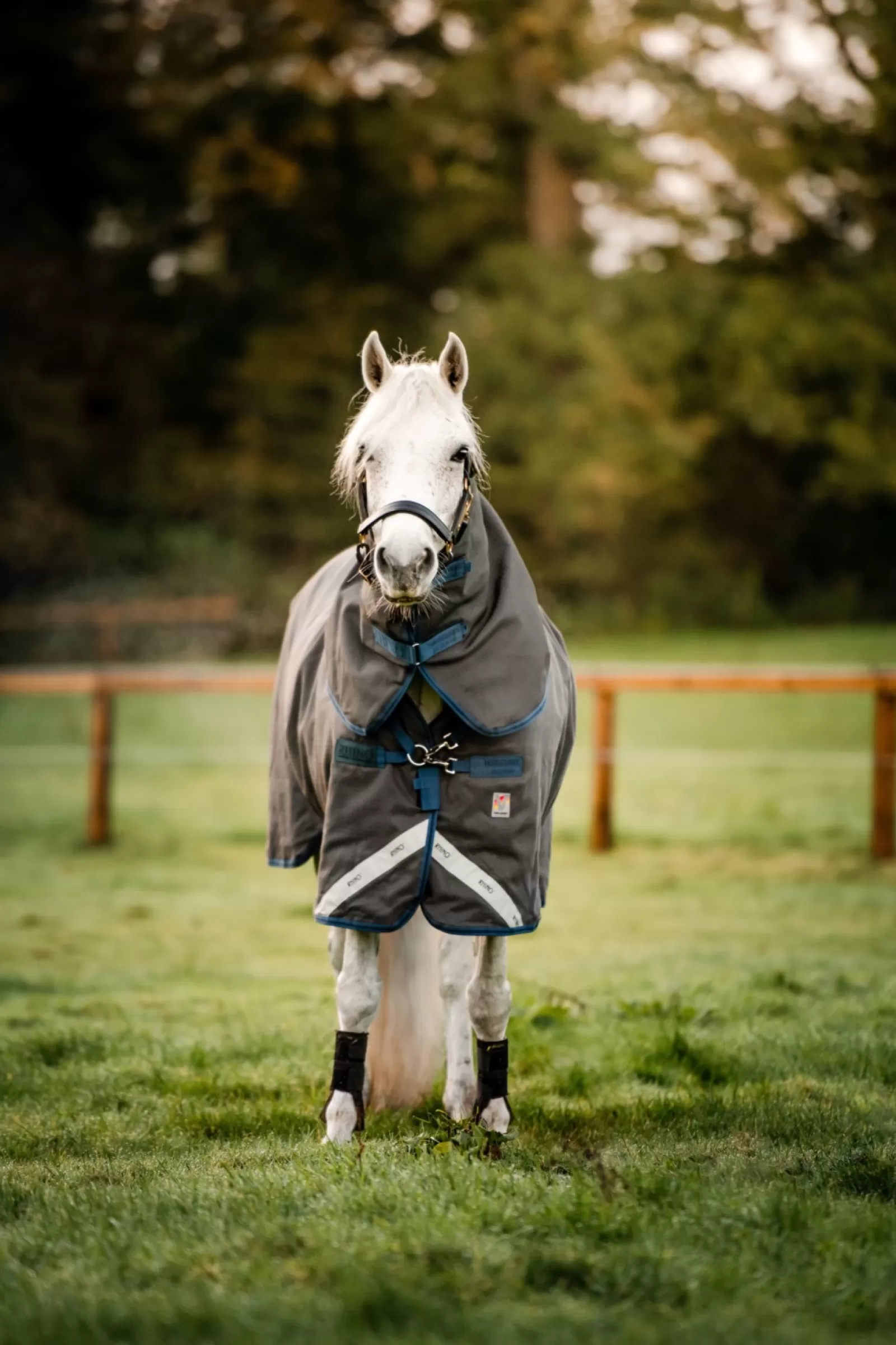 horseware Rhino Hexstop Plus Vari-Layer Derka Padokowa, 250 G