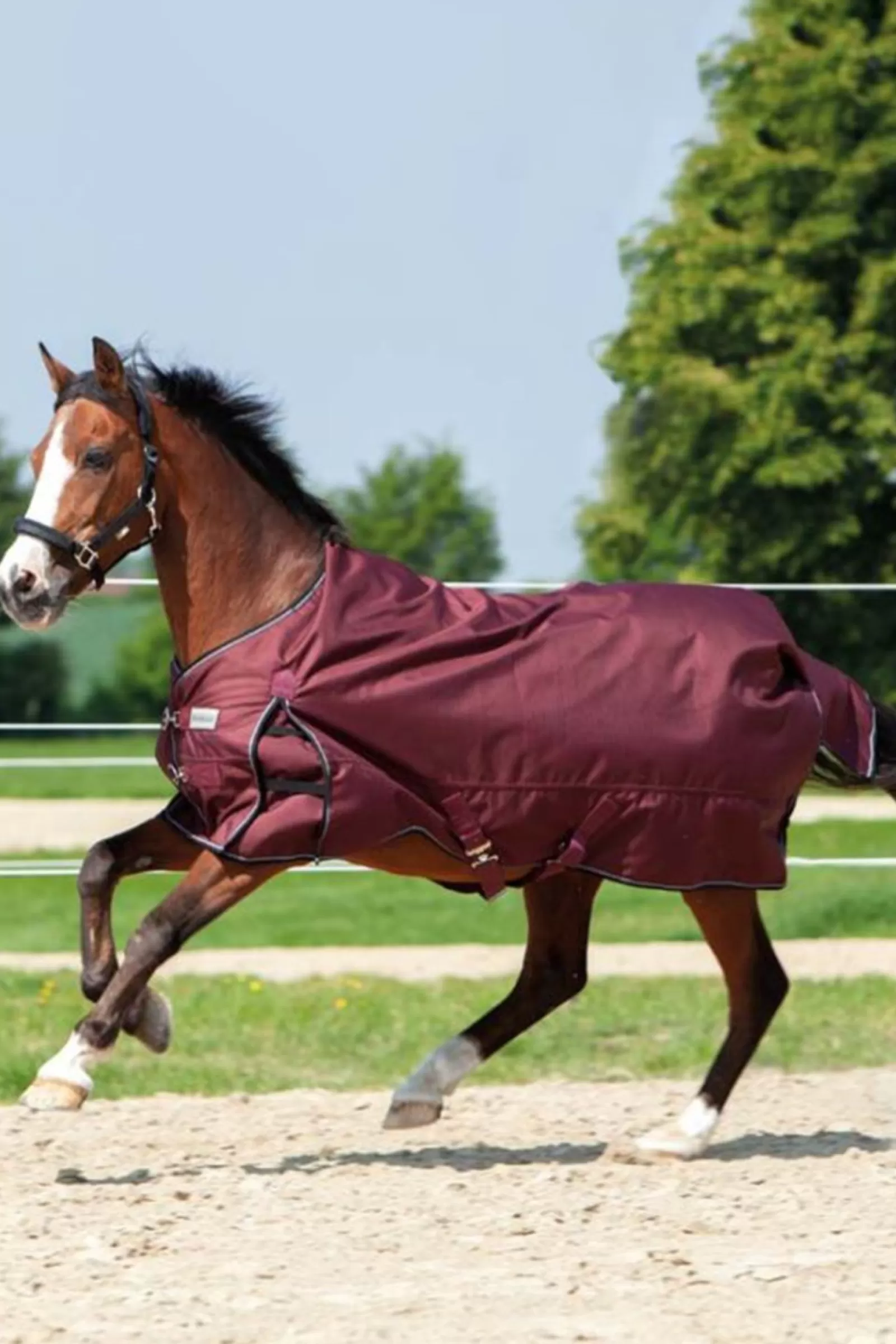 kavalkade Alaska Iv Turnout Rug, 100G