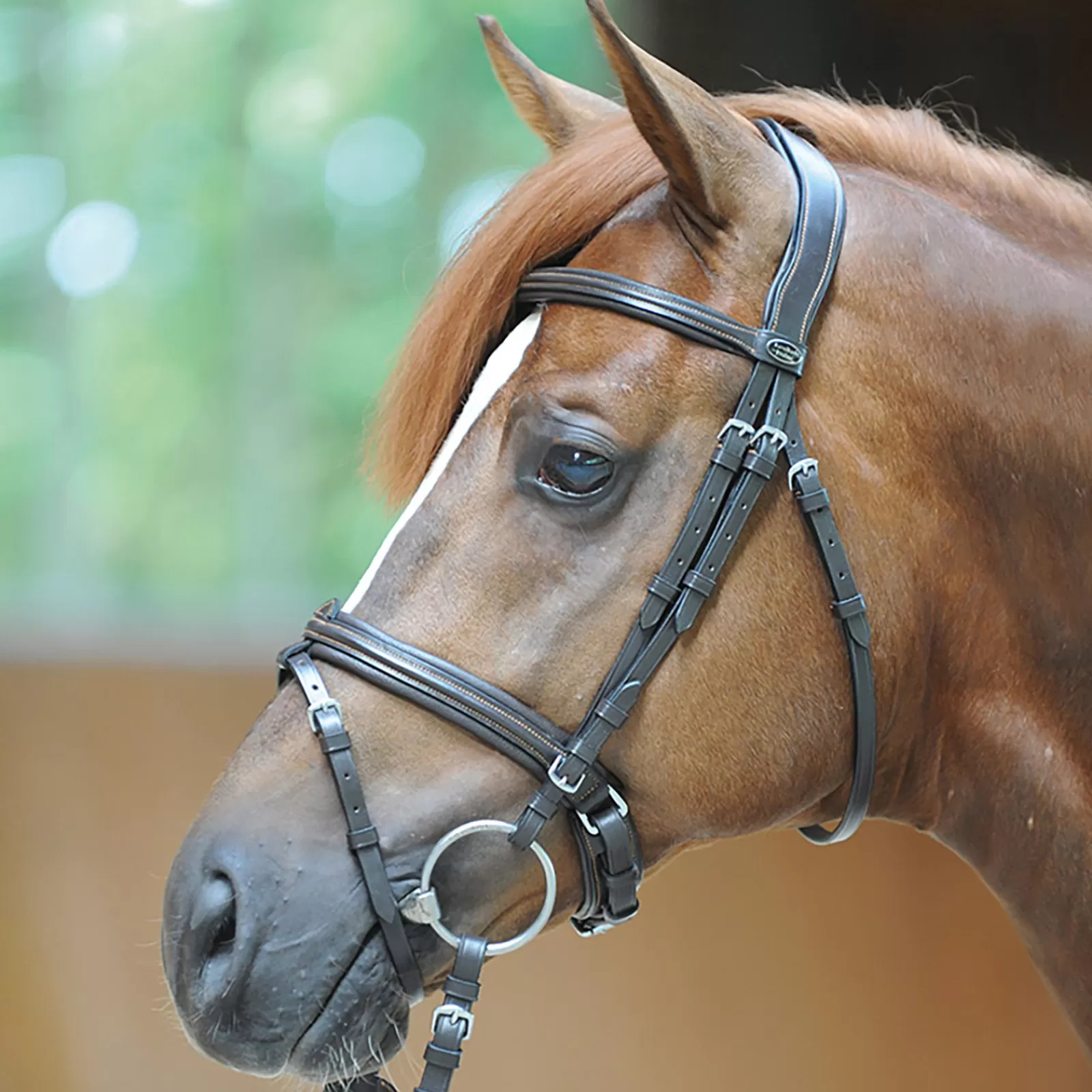 kavalkade Filip Bridle With Crank Noseband Brown Cheap