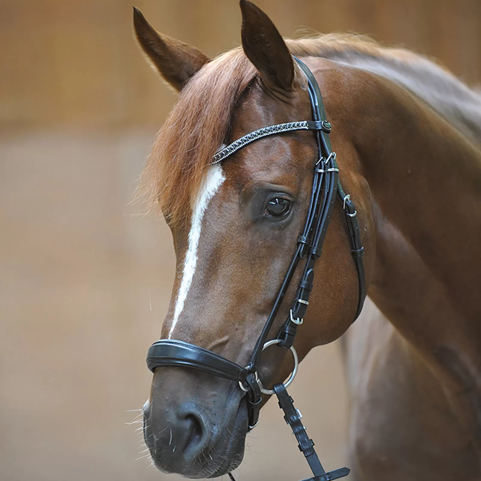 kavalkade Isabella Bridle With Drop Noseband Black Clearance