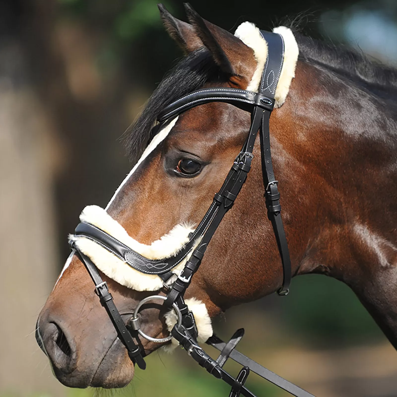 kavalkade Ivy Sheepskin Bridle Black New