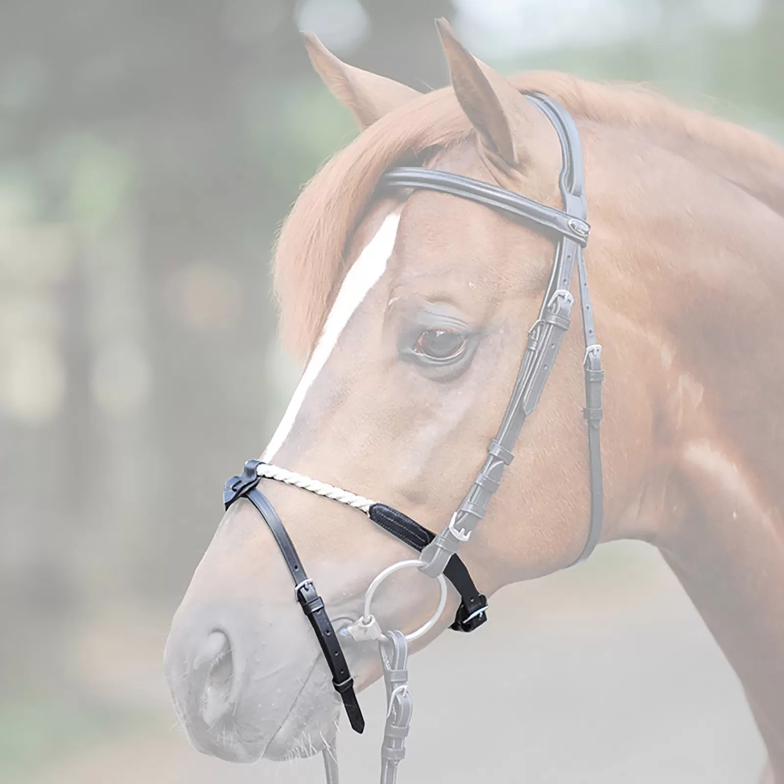 kavalkade Rope Noseband Black Sale