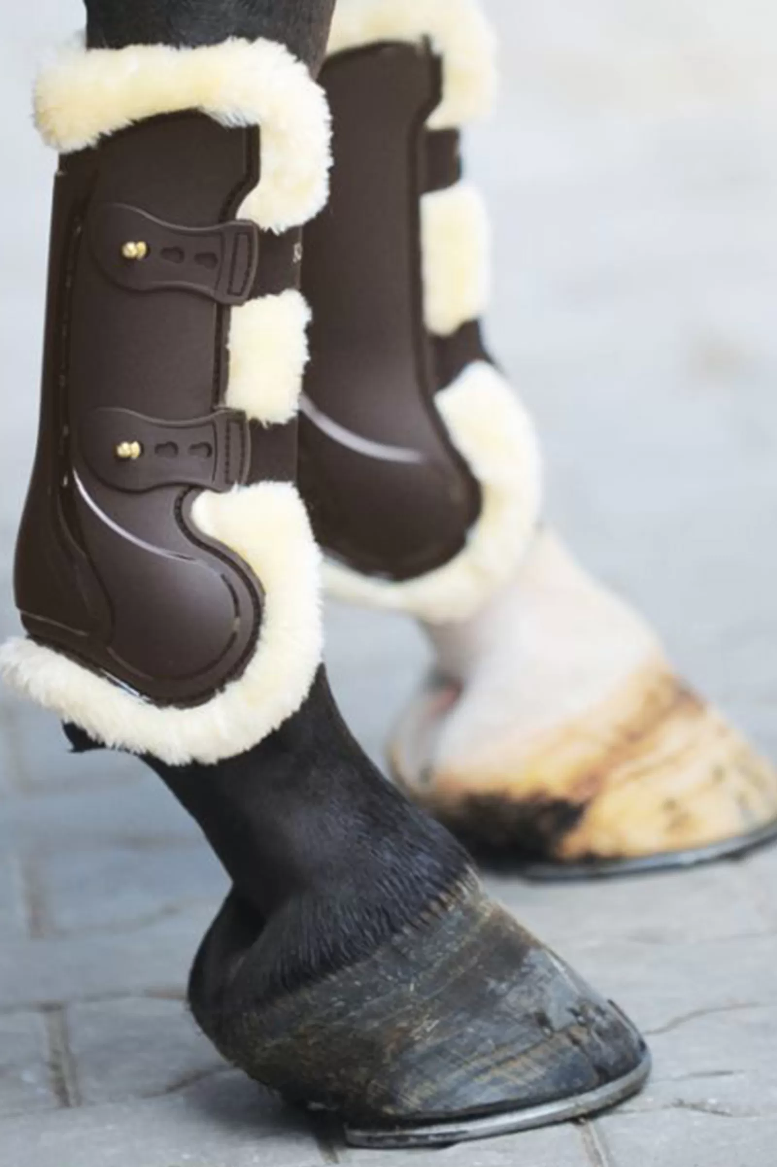 kavalkade Tendon Boots Compete 'N Wool Brown Clearance