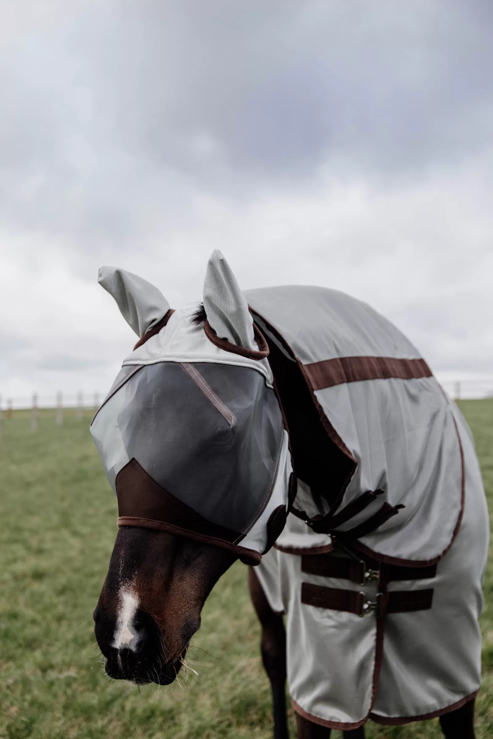 kentucky Horsewear Classic Maska Przeciwko Owadom Z Czescia Nauszna Silver Shop