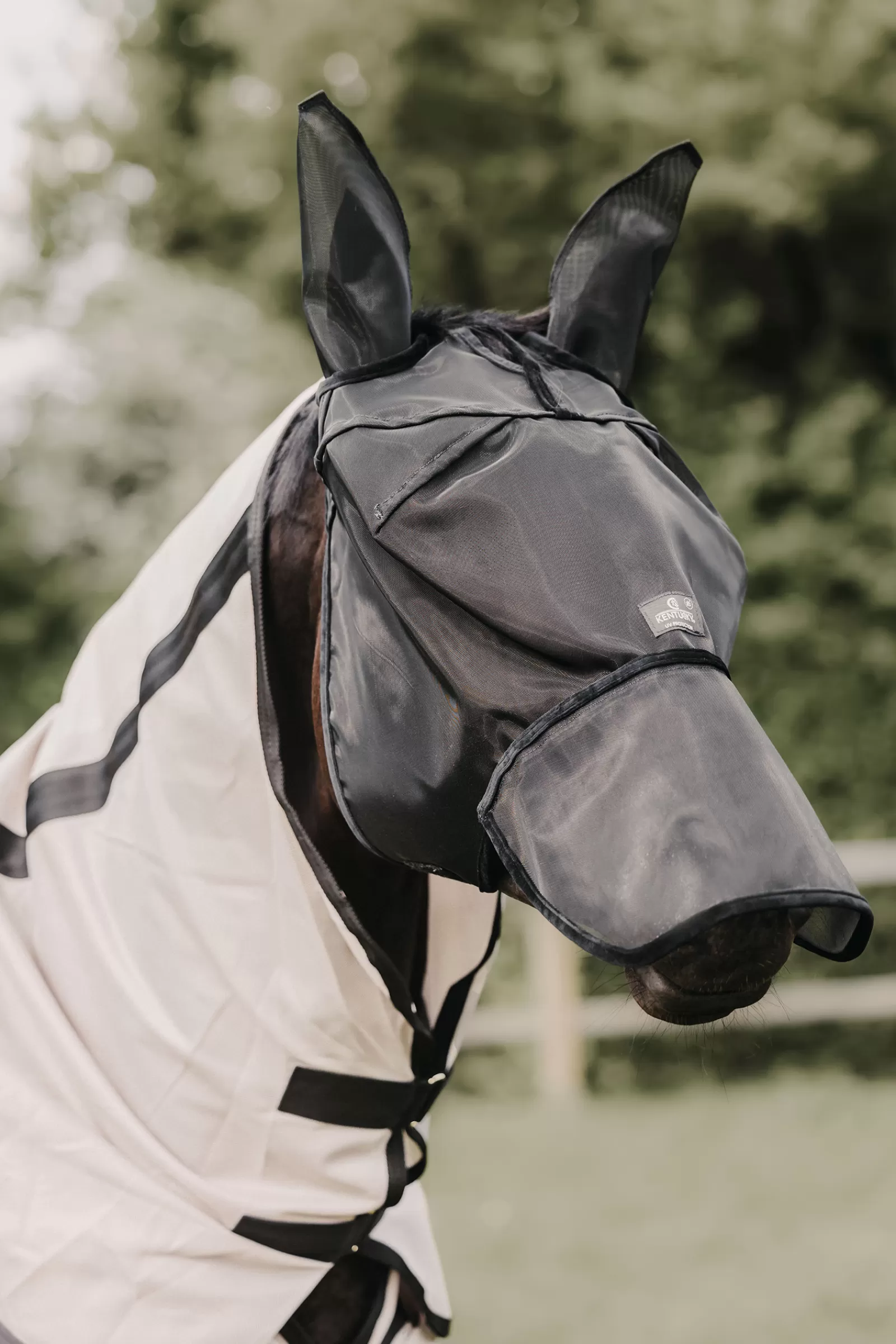 kentucky Horsewear Classic Maska Przeciwko Owadom Z Czescia Nauszna I Ochrona Nosa Black Discount